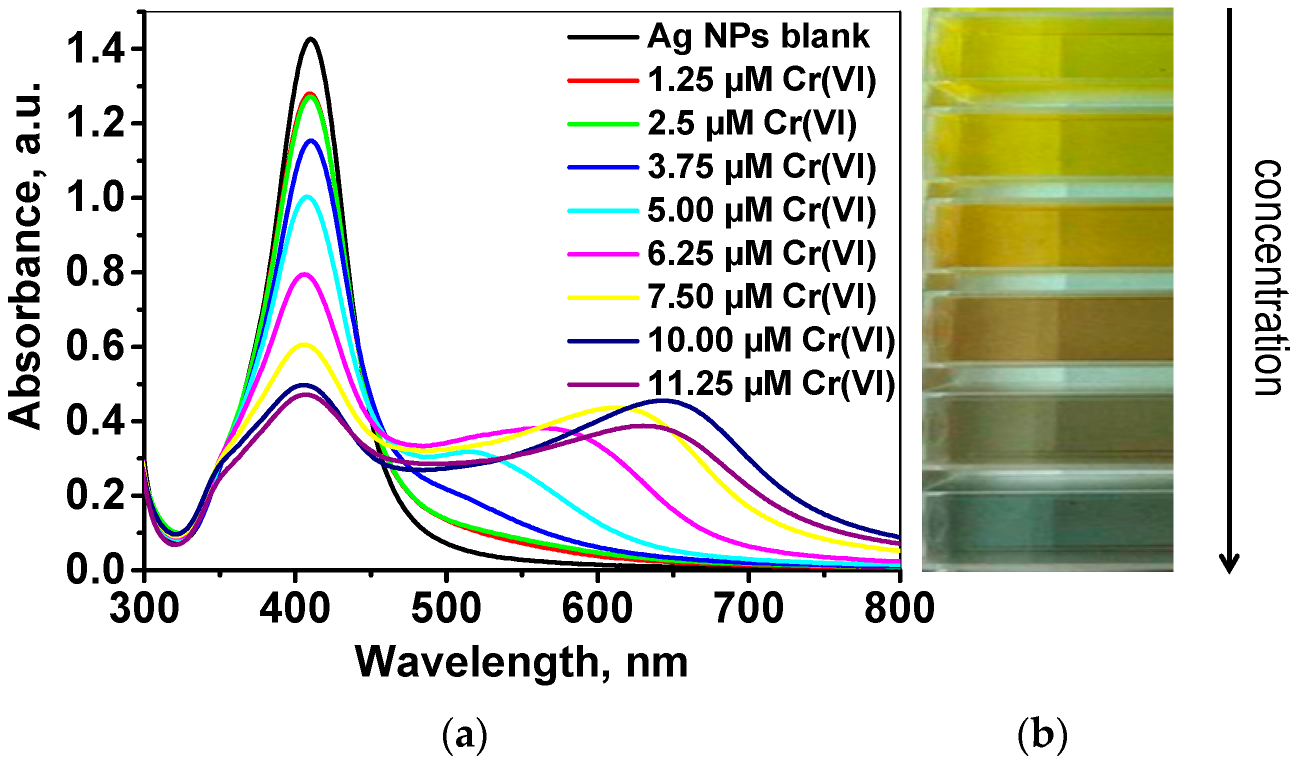 Molecules 26 05418 g004