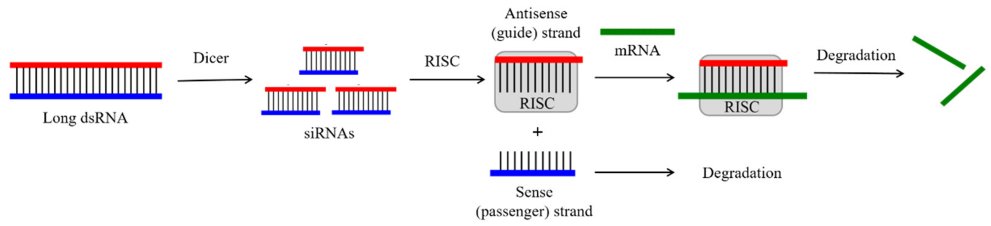Molecules 26 05420 g003 Molecules 26 05420 g003
