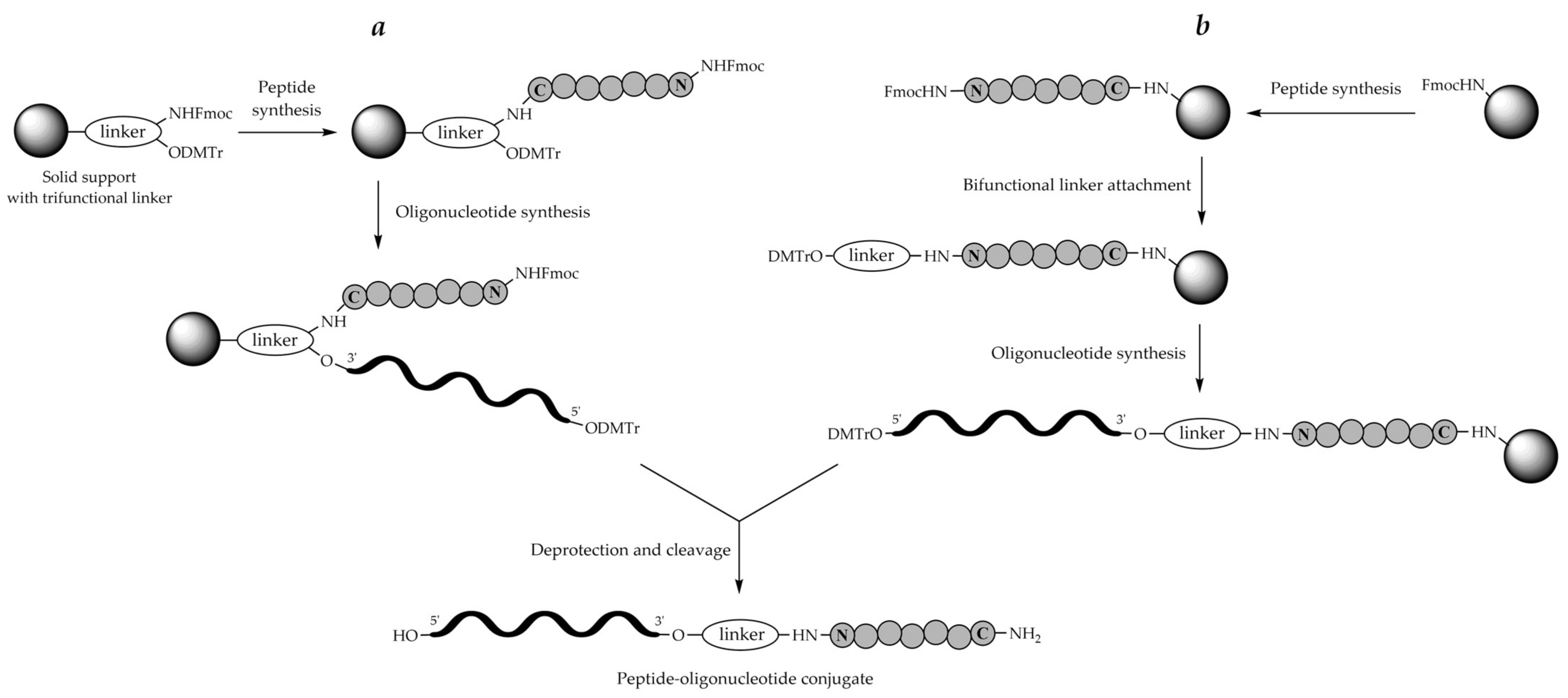 Molecules 26 05420 g004 Molecules 26 05420 g004
