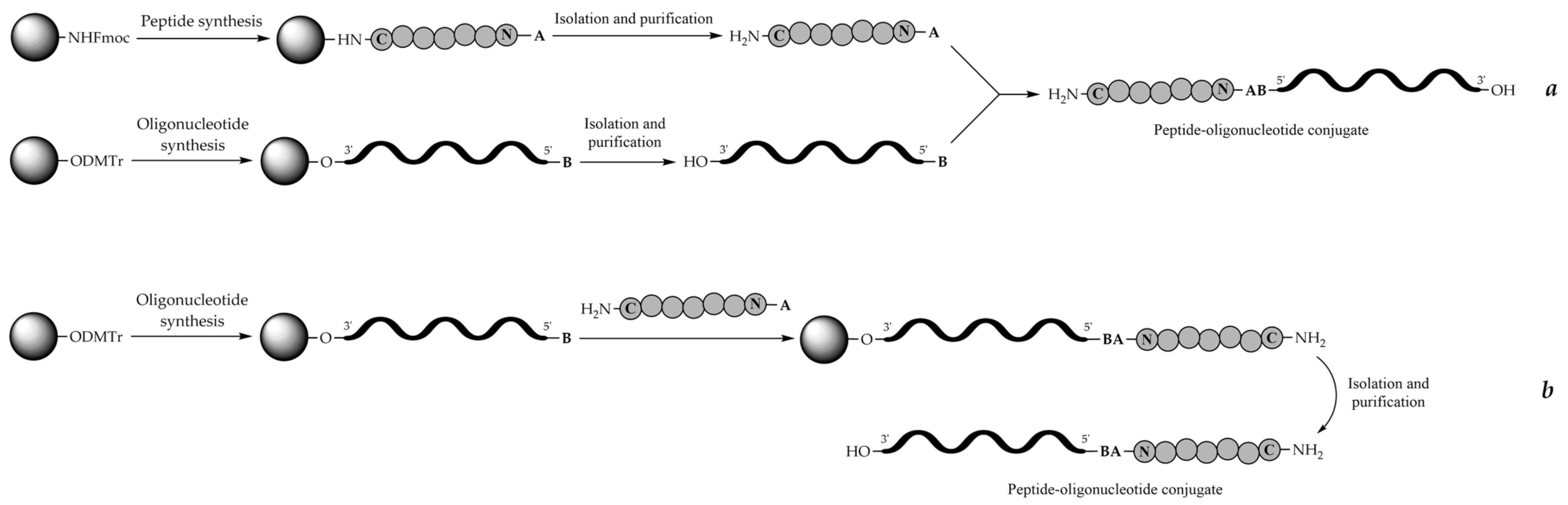 Molecules 26 05420 g008 Molecules 26 05420 g008