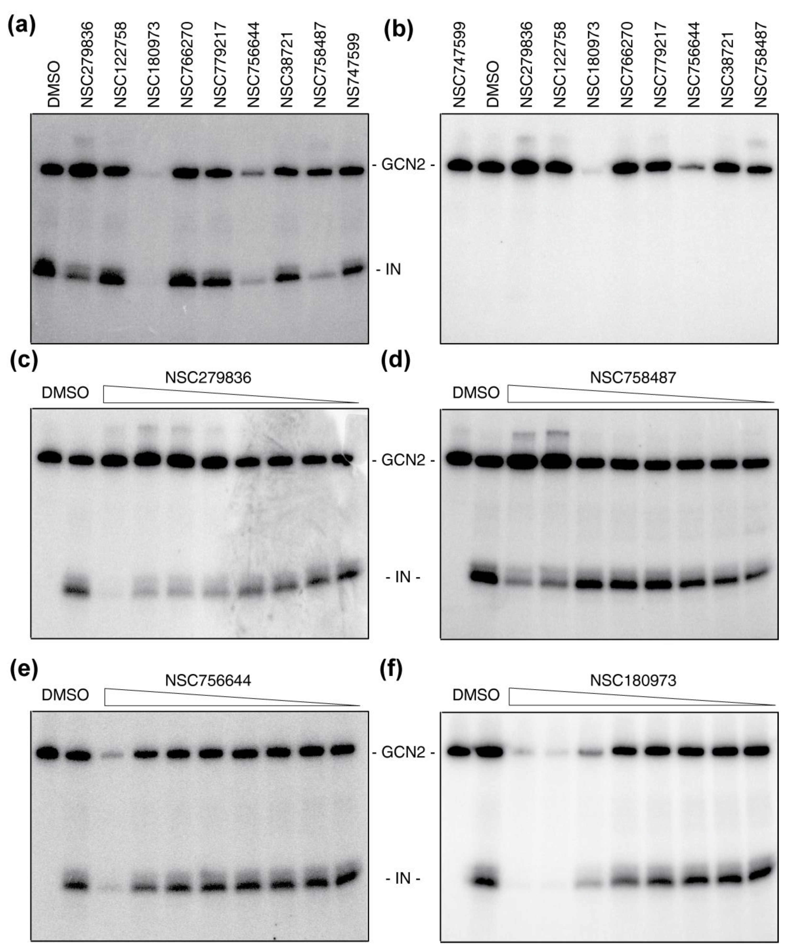 Molecules 26 05423 g004 Molecules 26 05423 g004