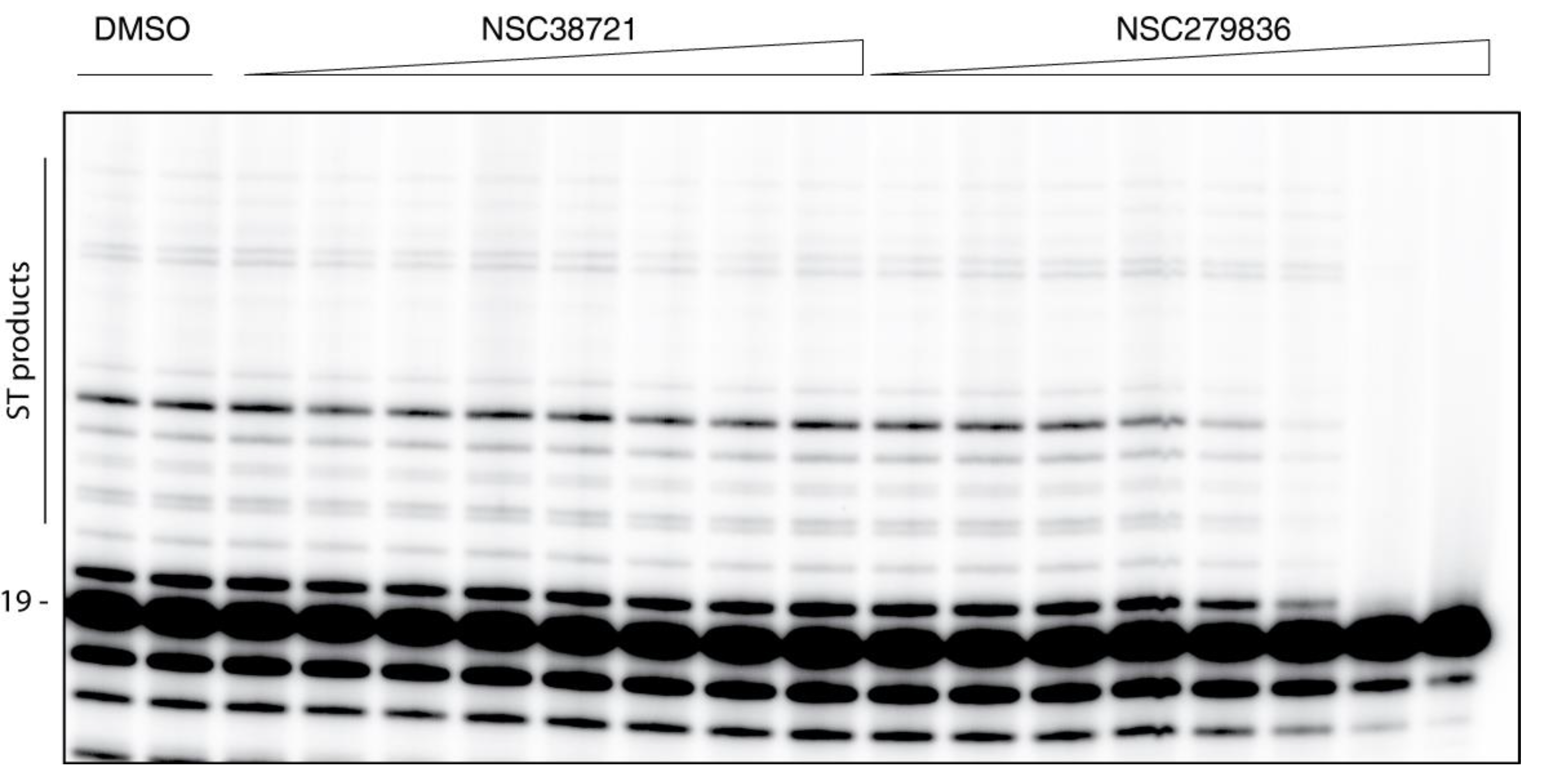 Molecules 26 05423 g005 Molecules 26 05423 g005