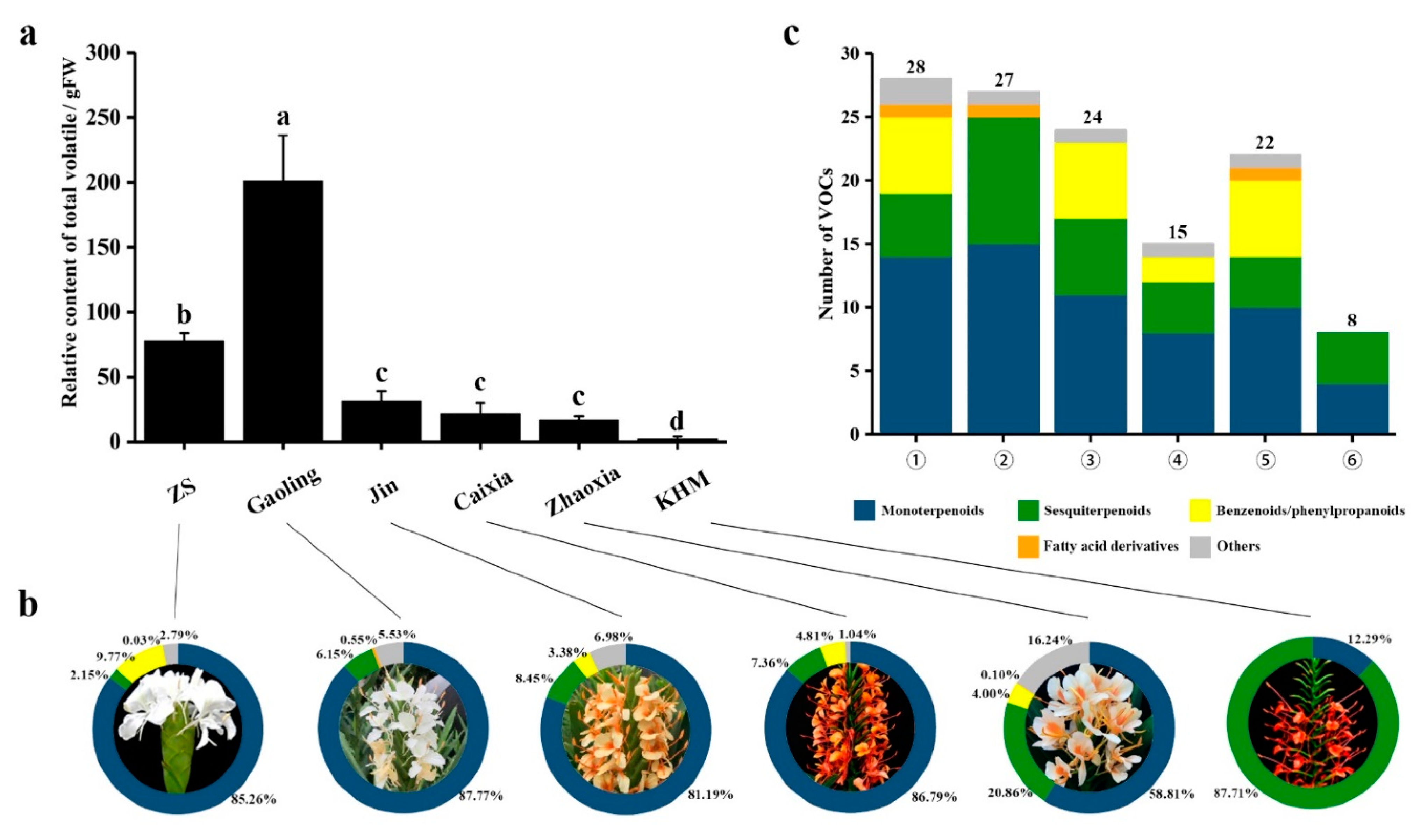 Molecules 26 05425 g001 550