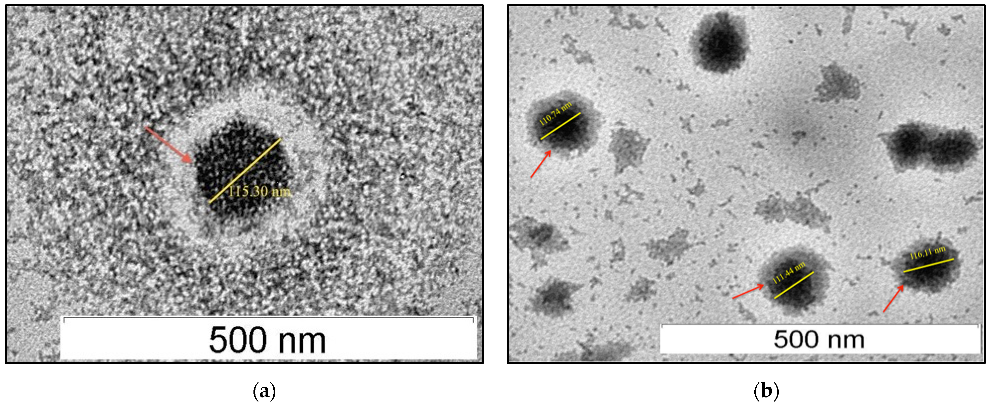 Molecules 26 05432 g002