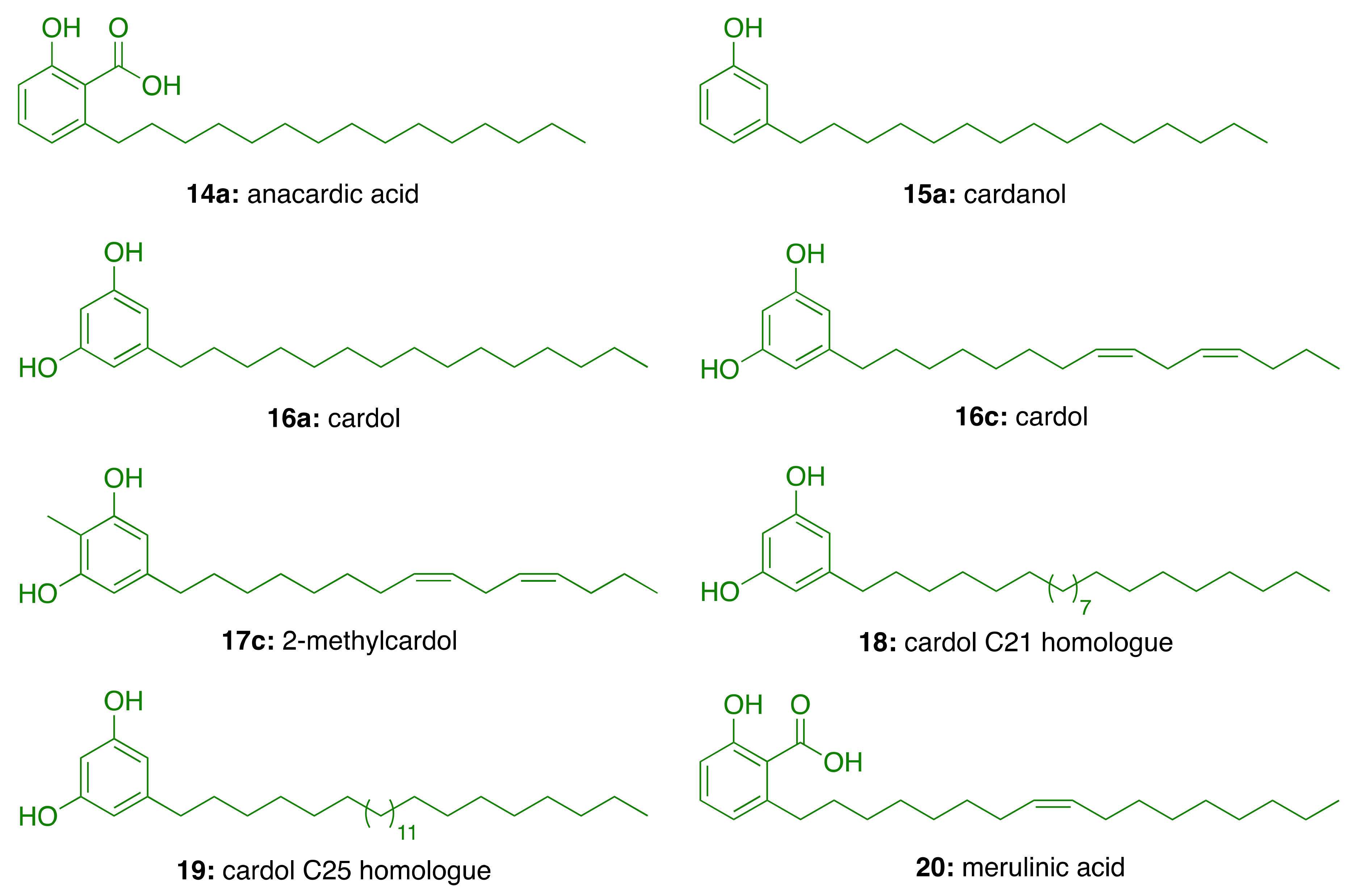 Molecules 26 05441 g005