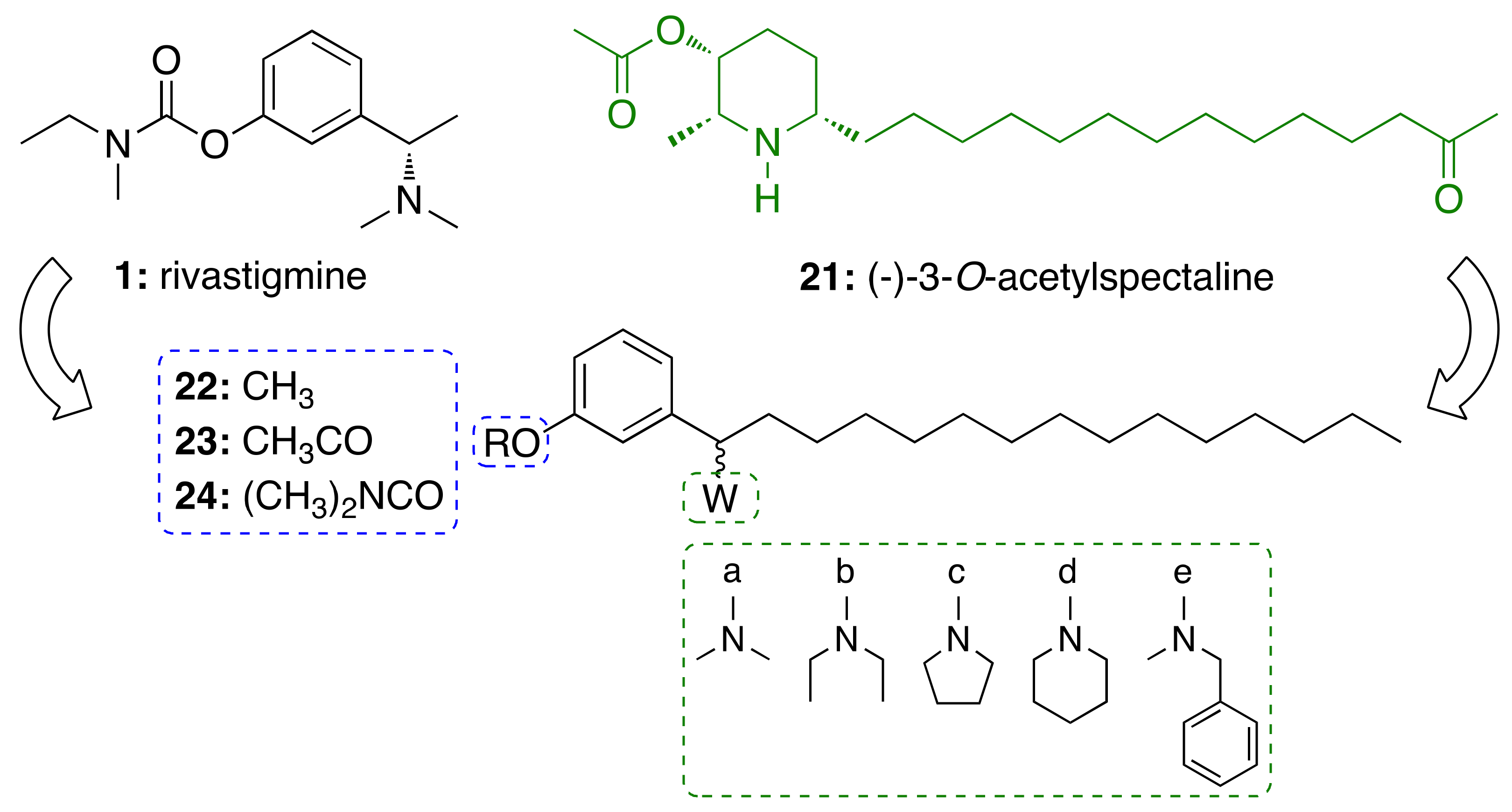 Molecules 26 05441 g006