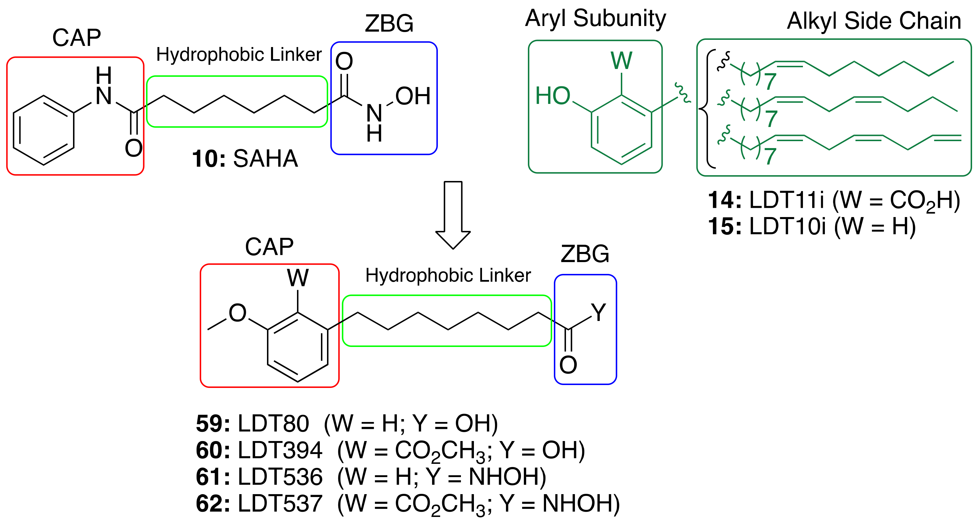 Molecules 26 05441 g009