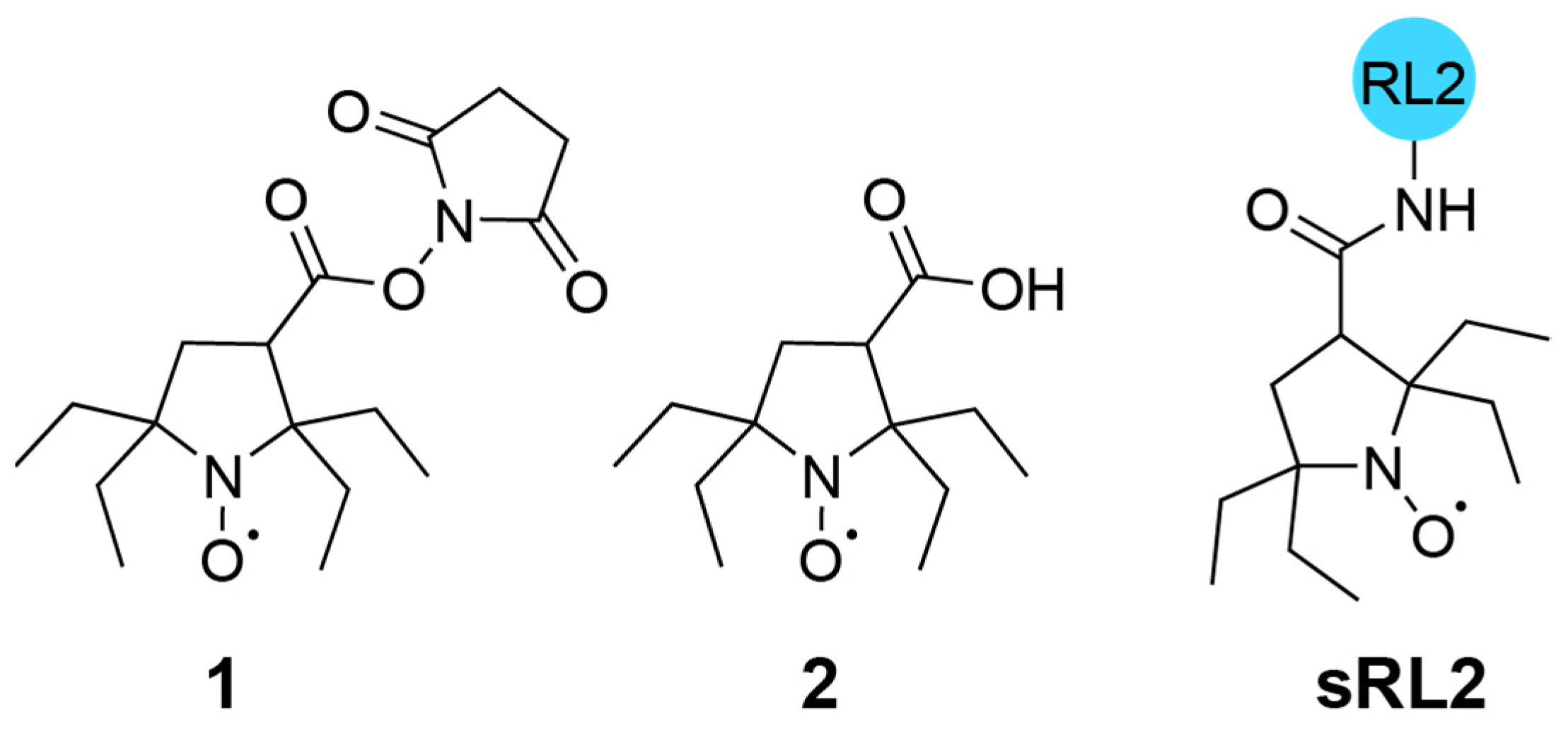 Molecules 26 05442 sch001 550