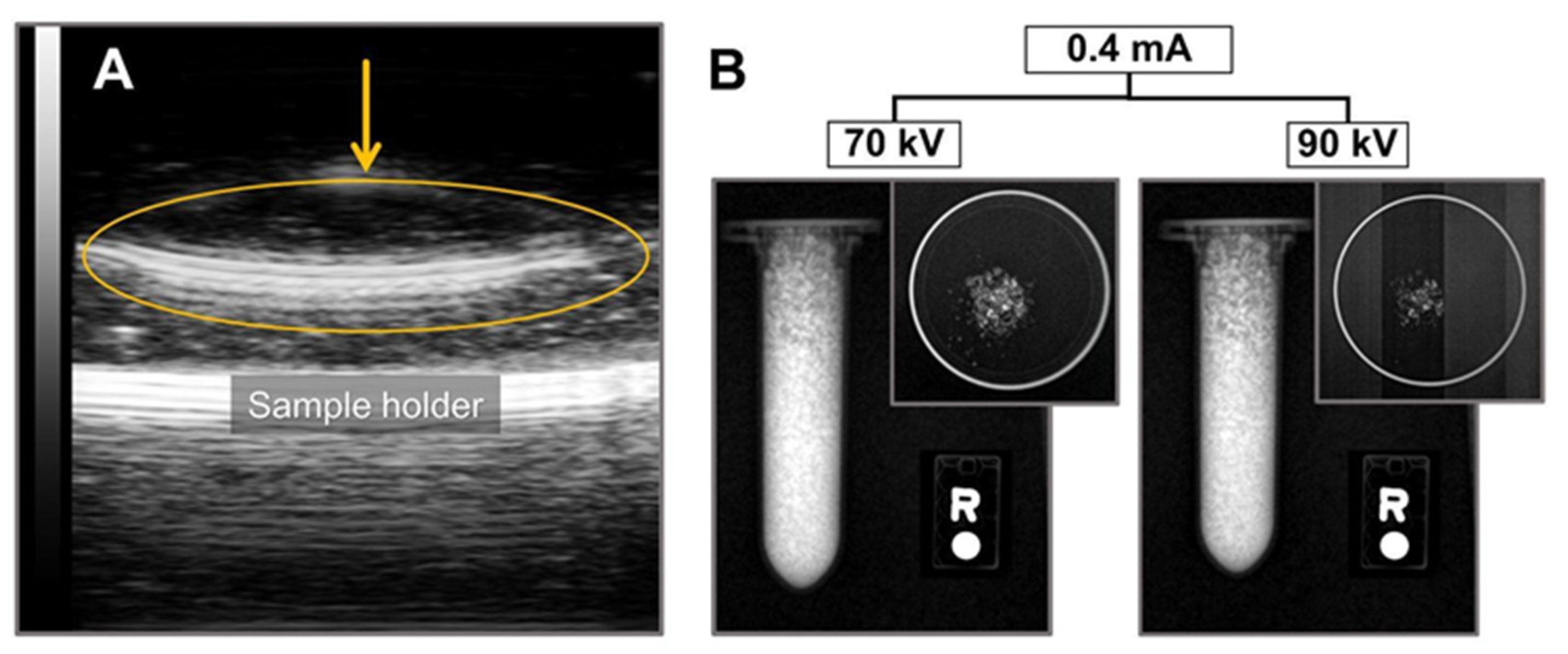 Molecules 26 05447 g007 550