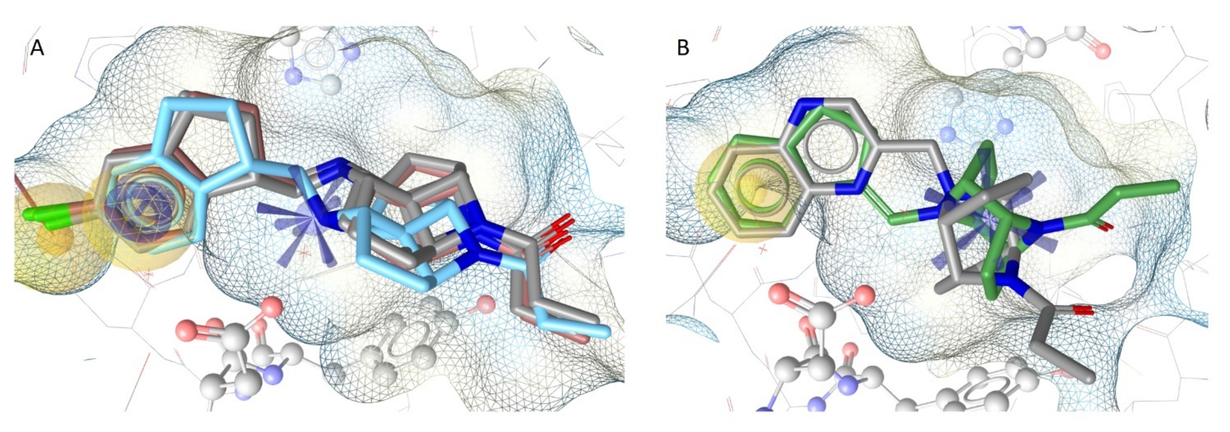 Molecules 26 05448 g006 550