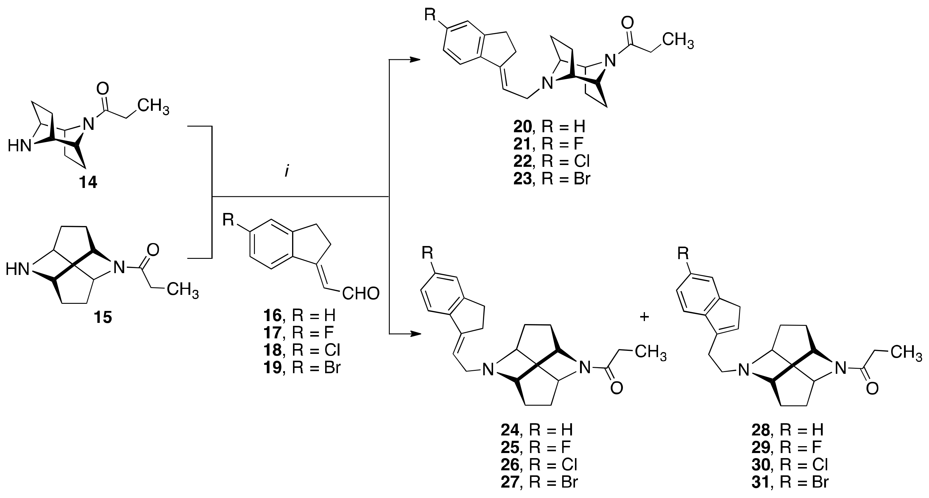 Molecules 26 05448 sch001 550