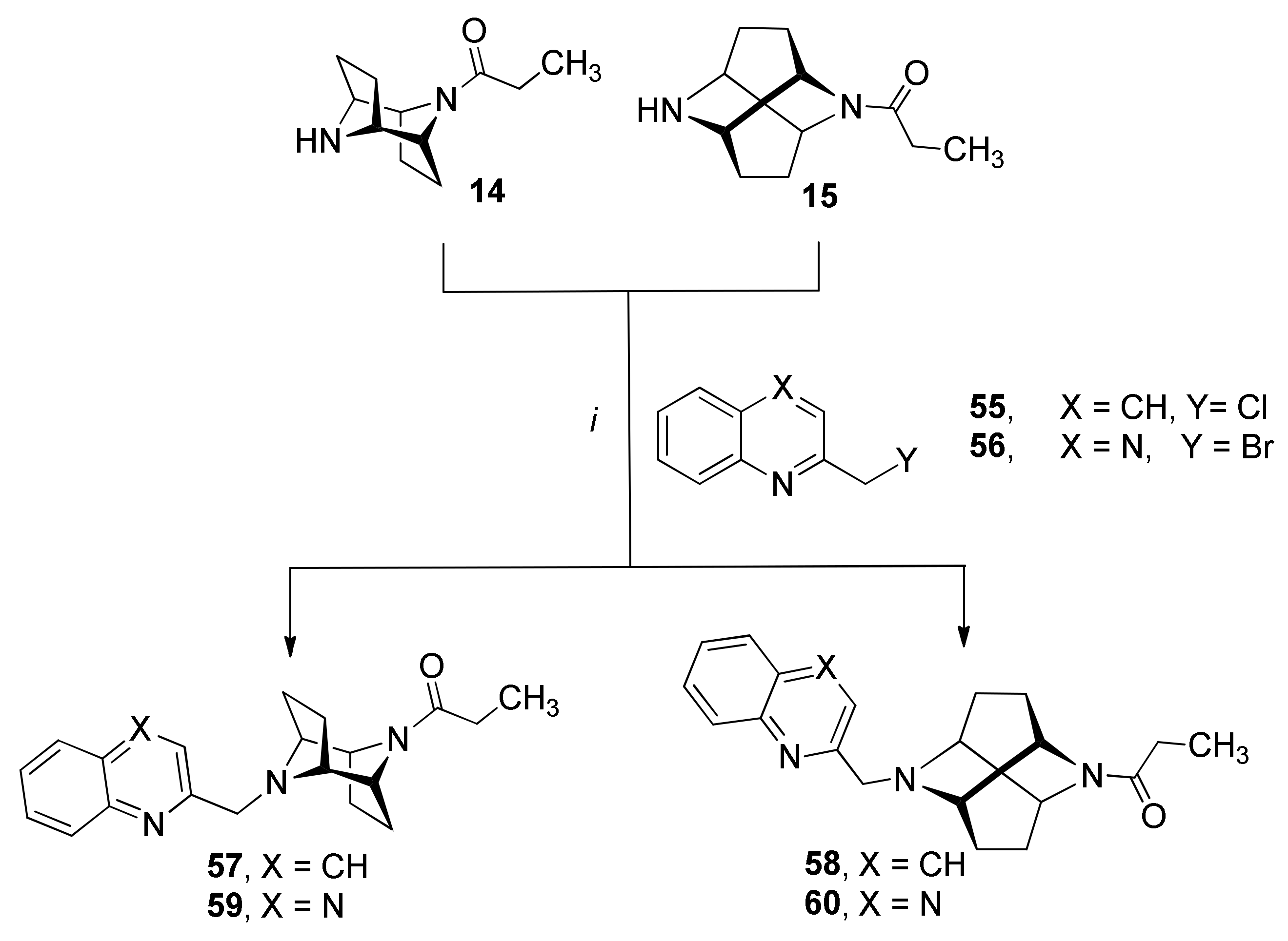 Molecules 26 05448 sch004 550