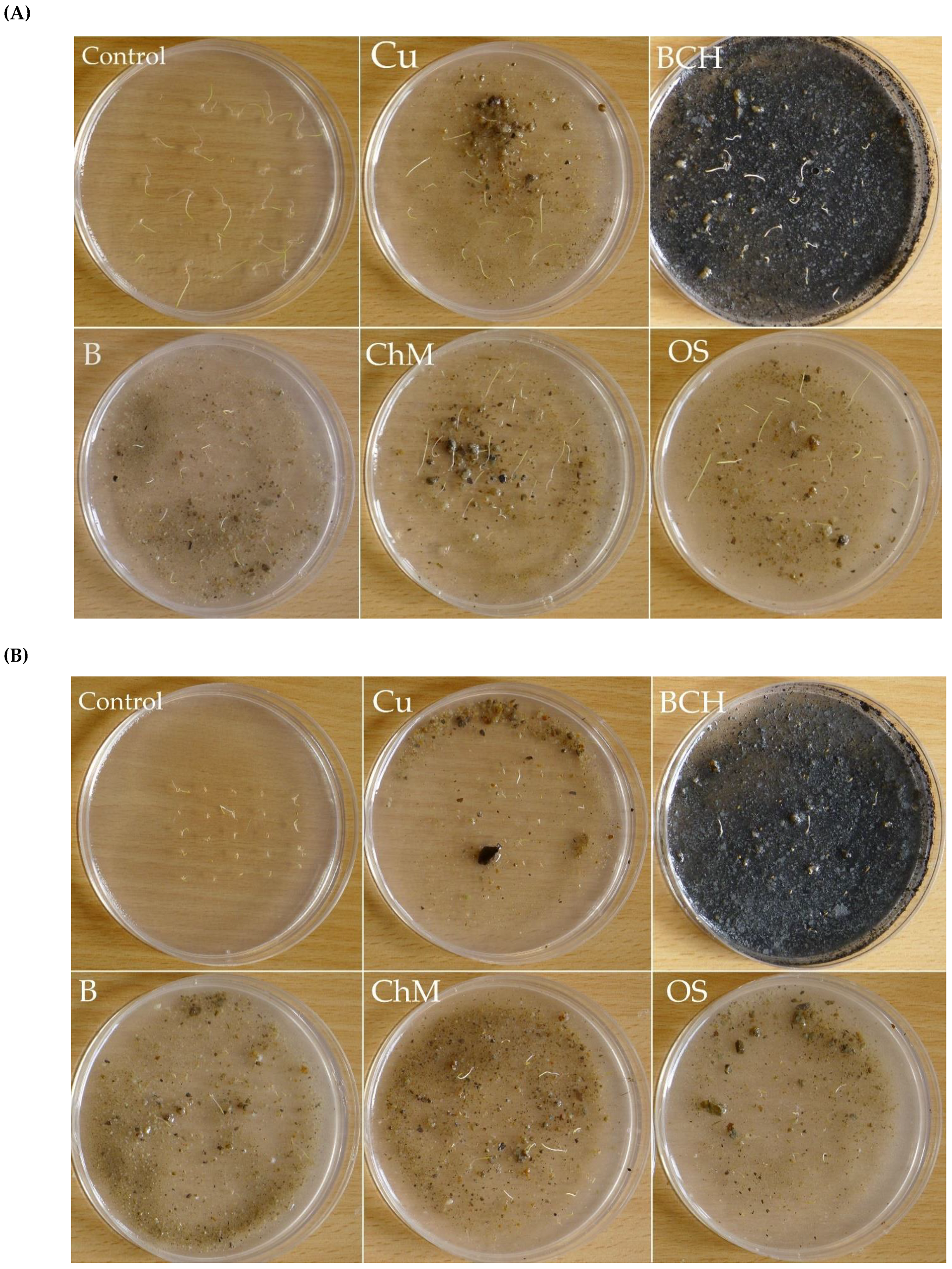 Molecules 26 05449 g003a