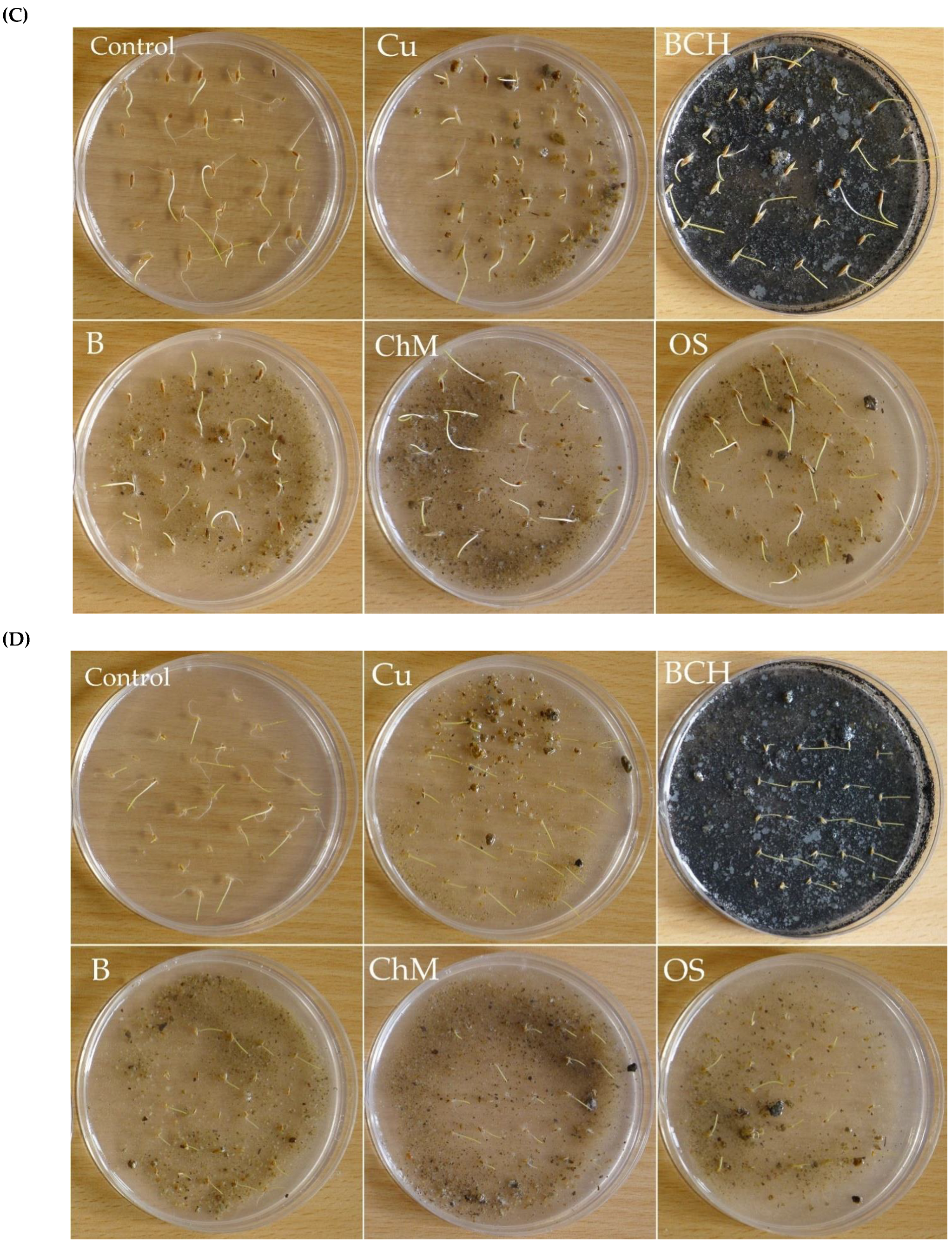 Molecules 26 05449 g003b