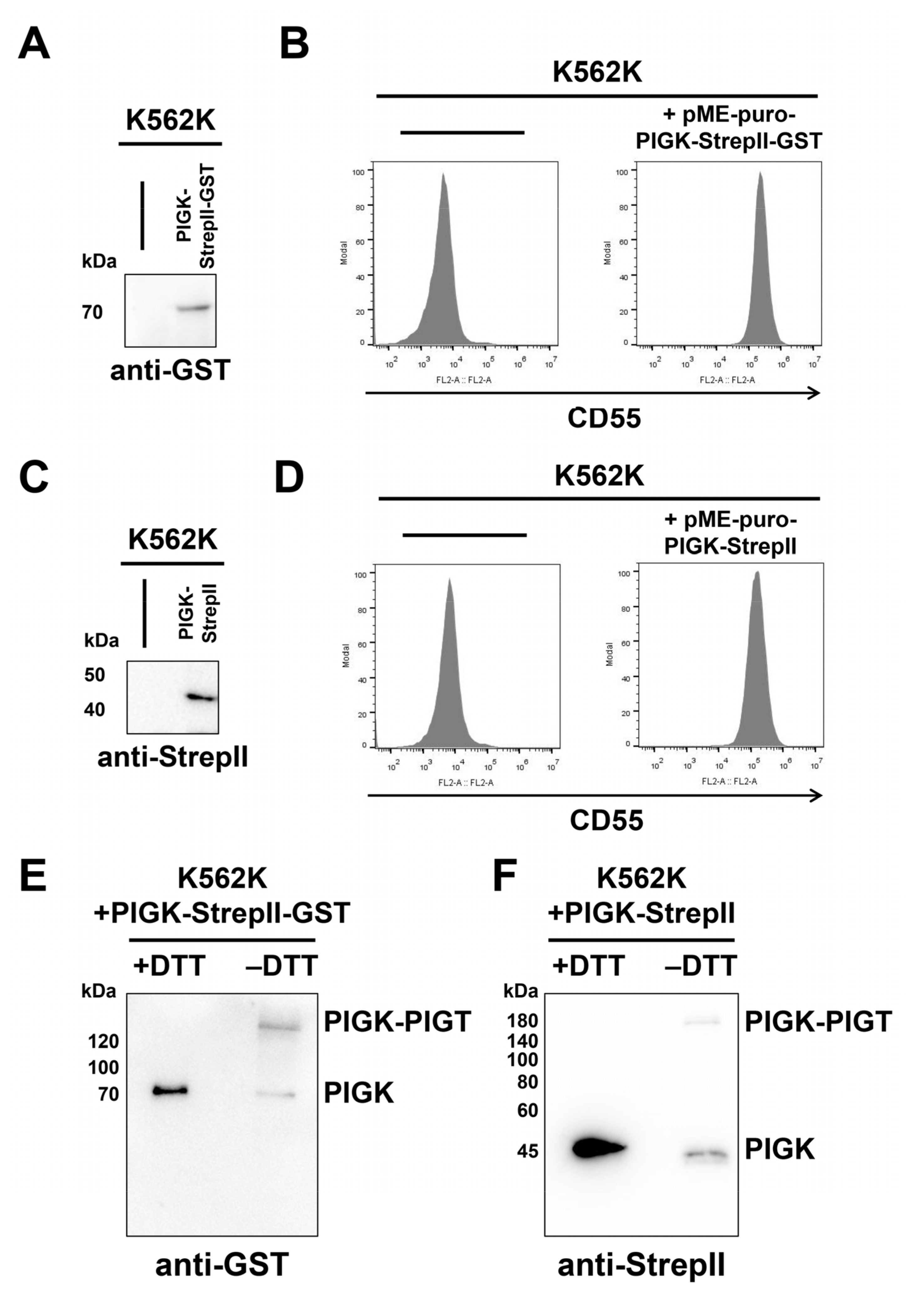 Molecules 26 05462 g005