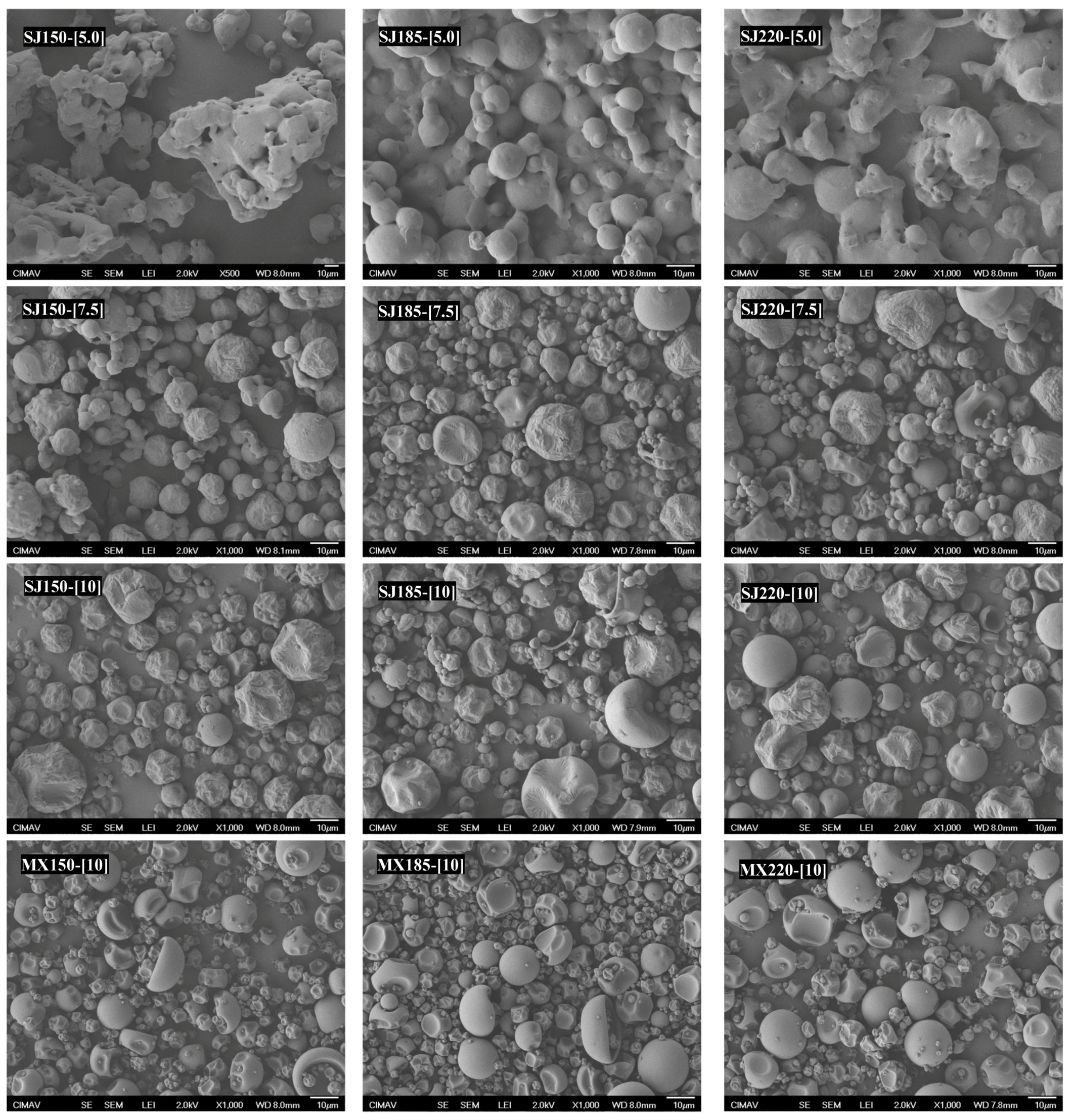 Molecules 26 05466 g006