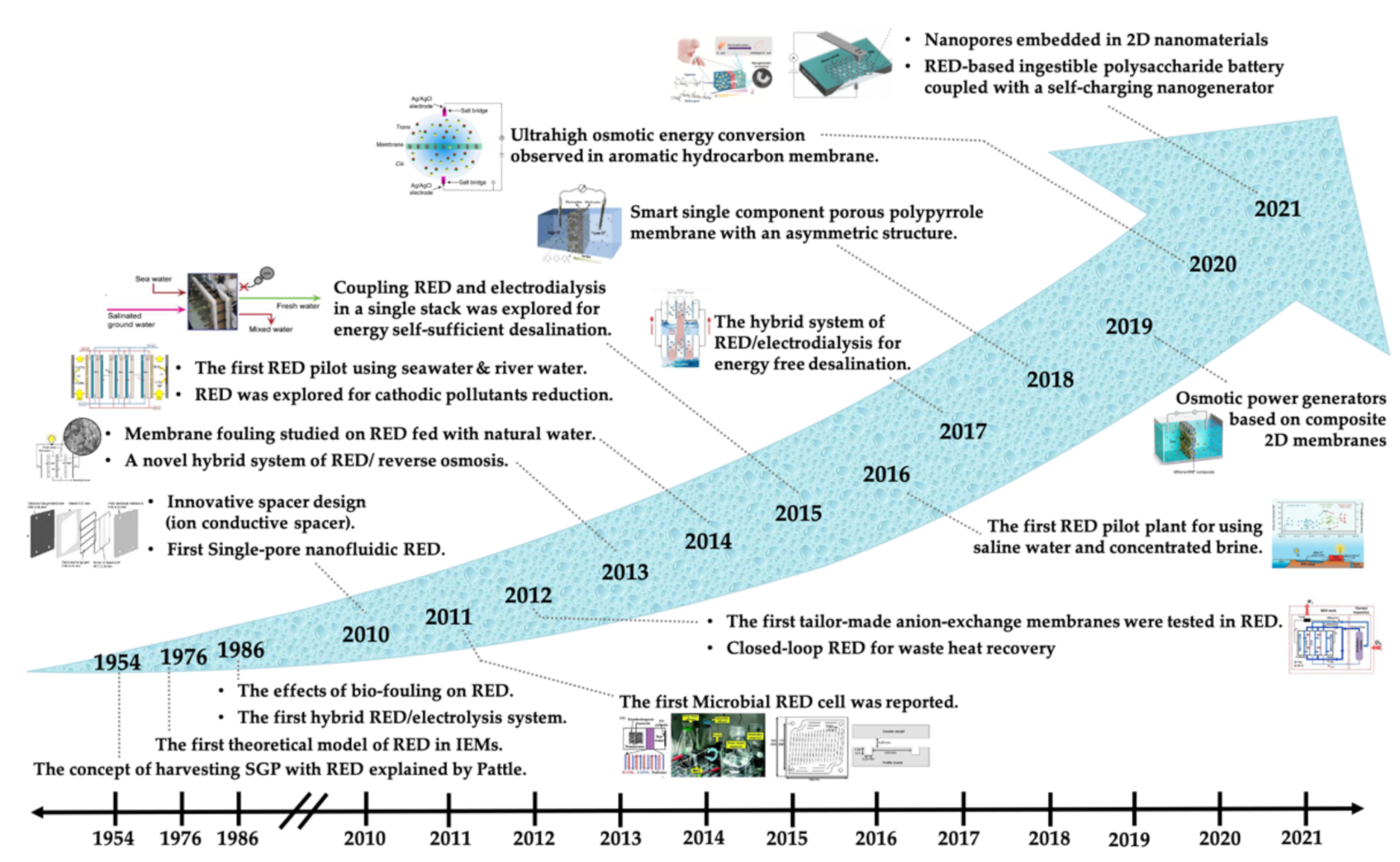 Molecules 26 05469 g002