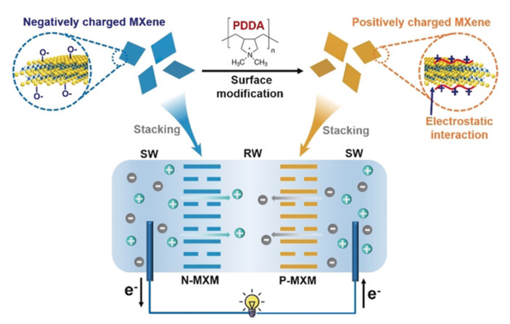 Molecules 26 05469 g005