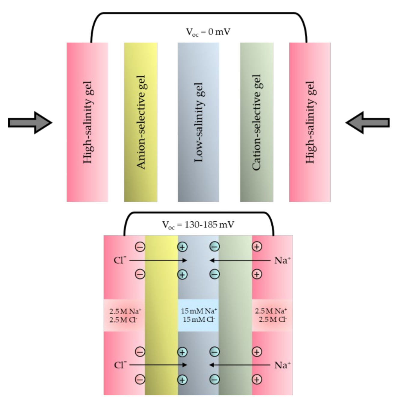Molecules 26 05469 g006
