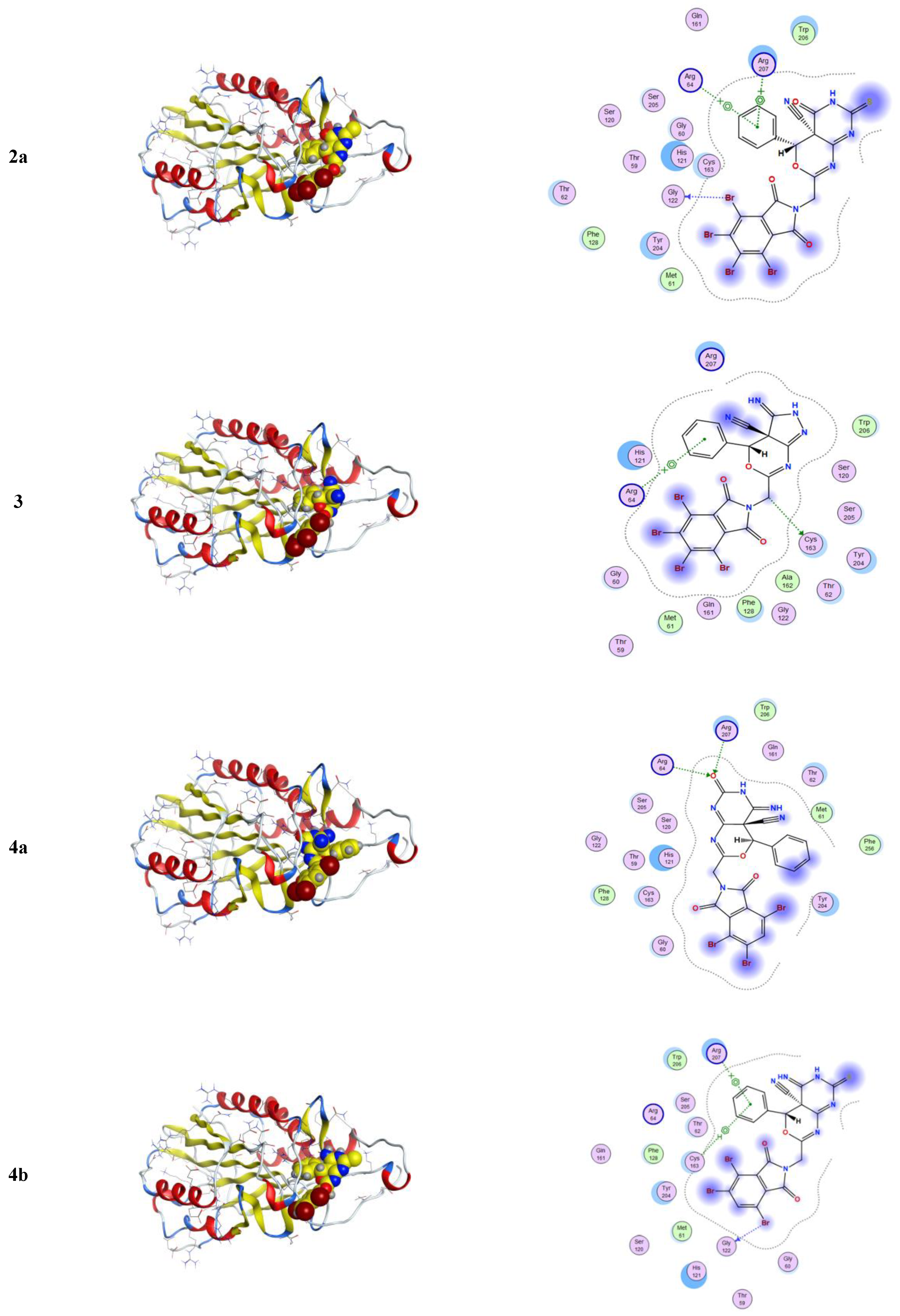 Molecules 26 05482 g005a