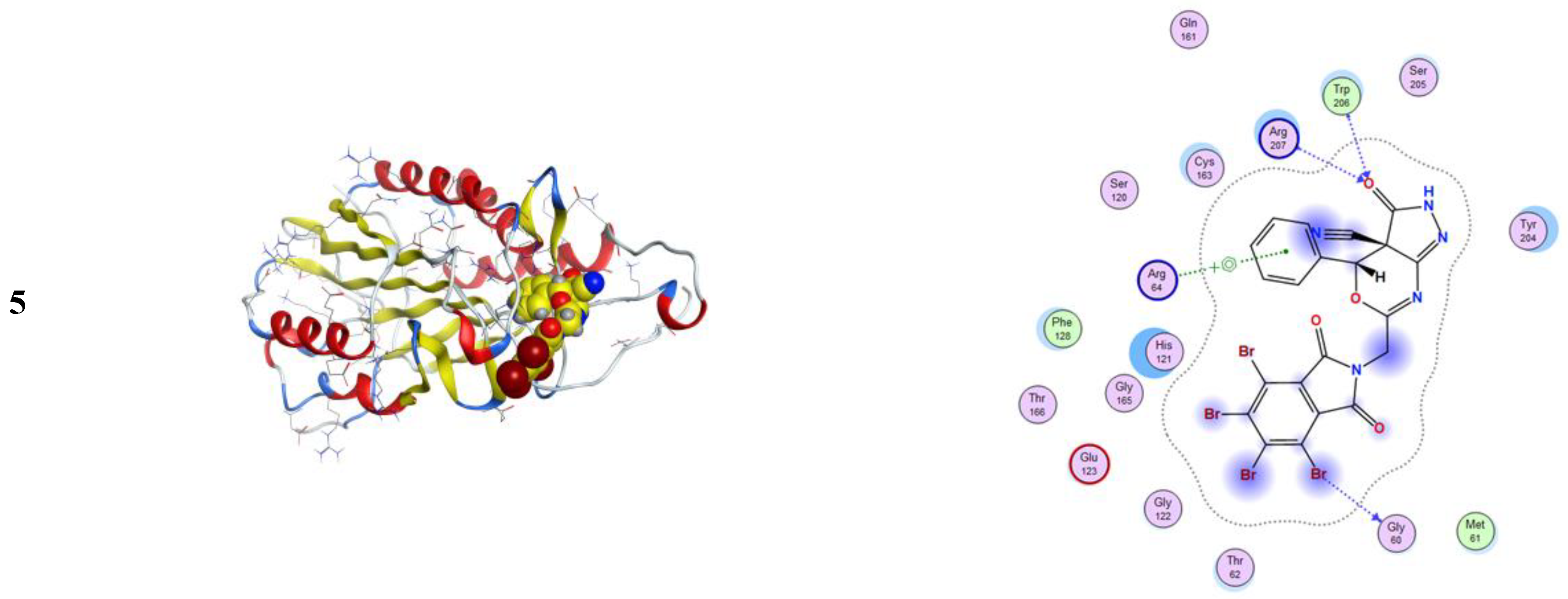 Molecules 26 05482 g005b