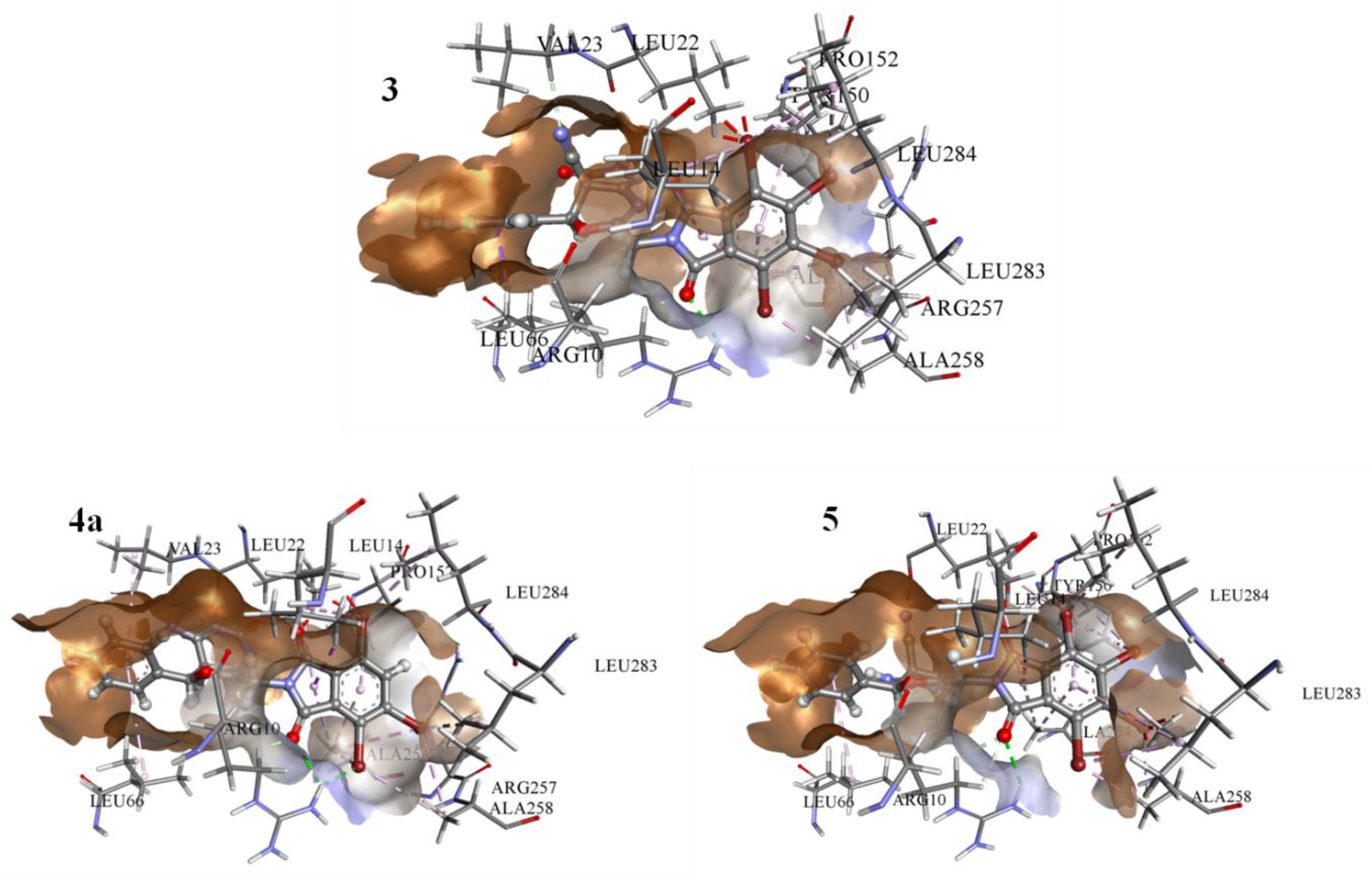 Molecules 26 05482 g008
