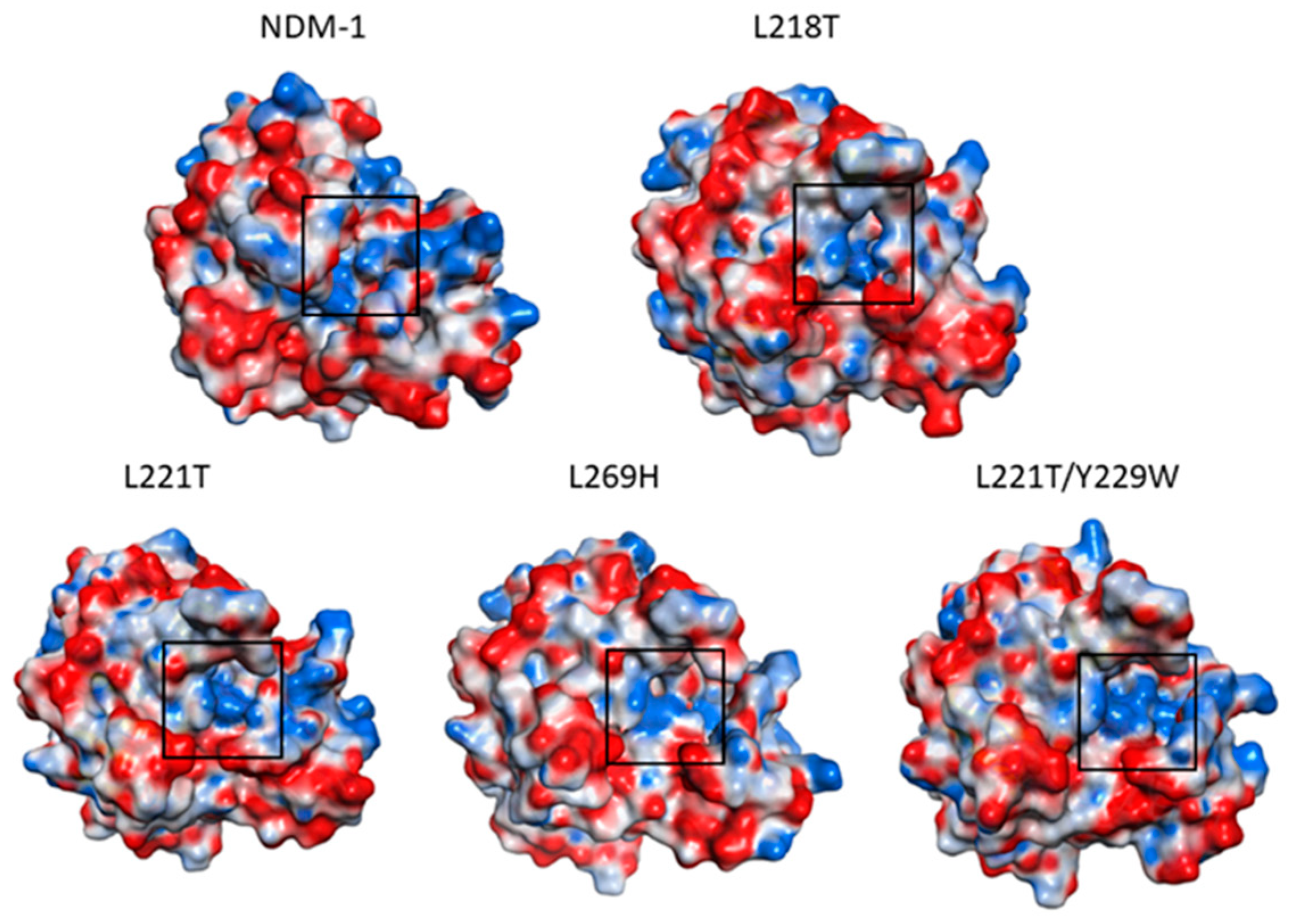 Molecules 26 05489 g004 Molecules 26 05489 g004