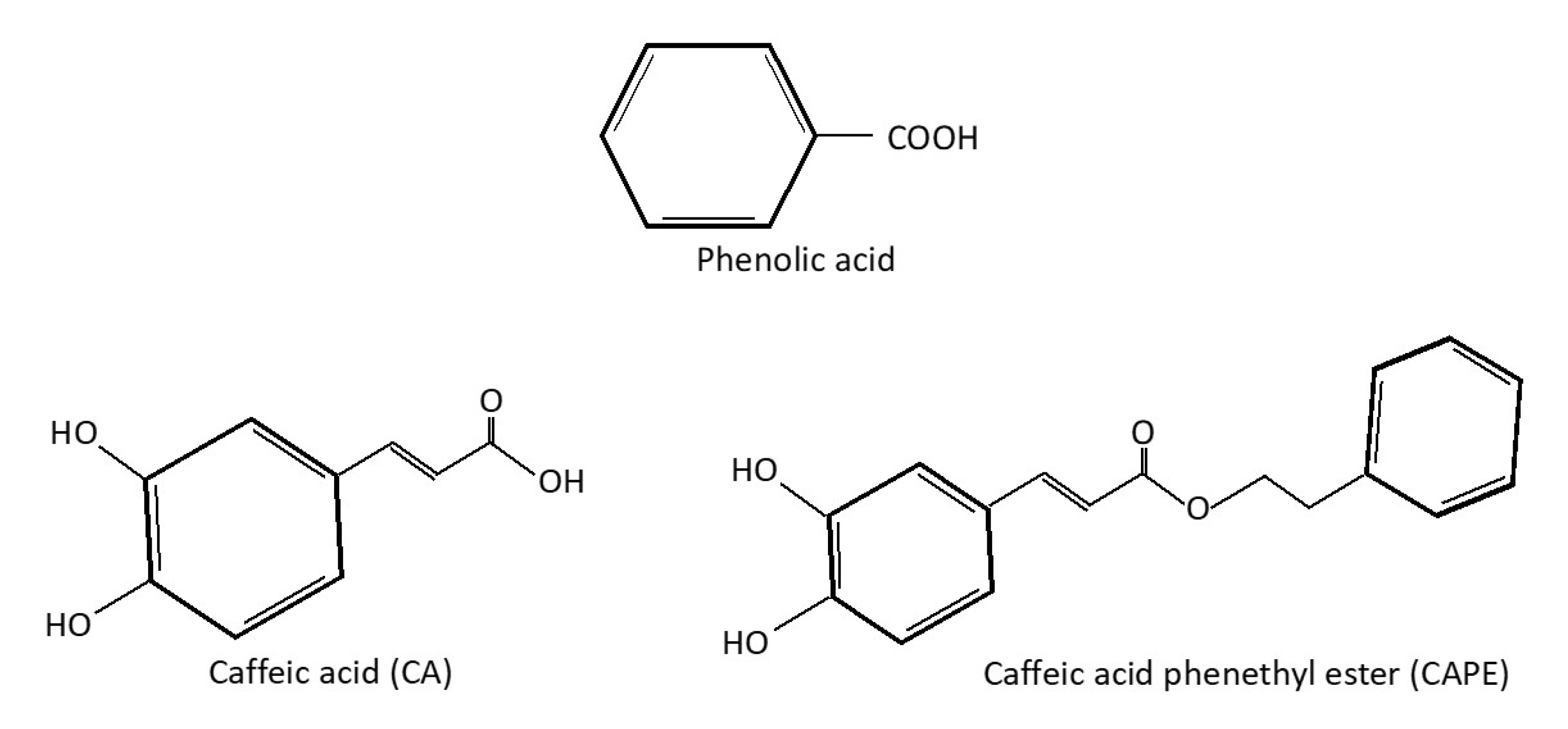 Molecules 26 05490 g001