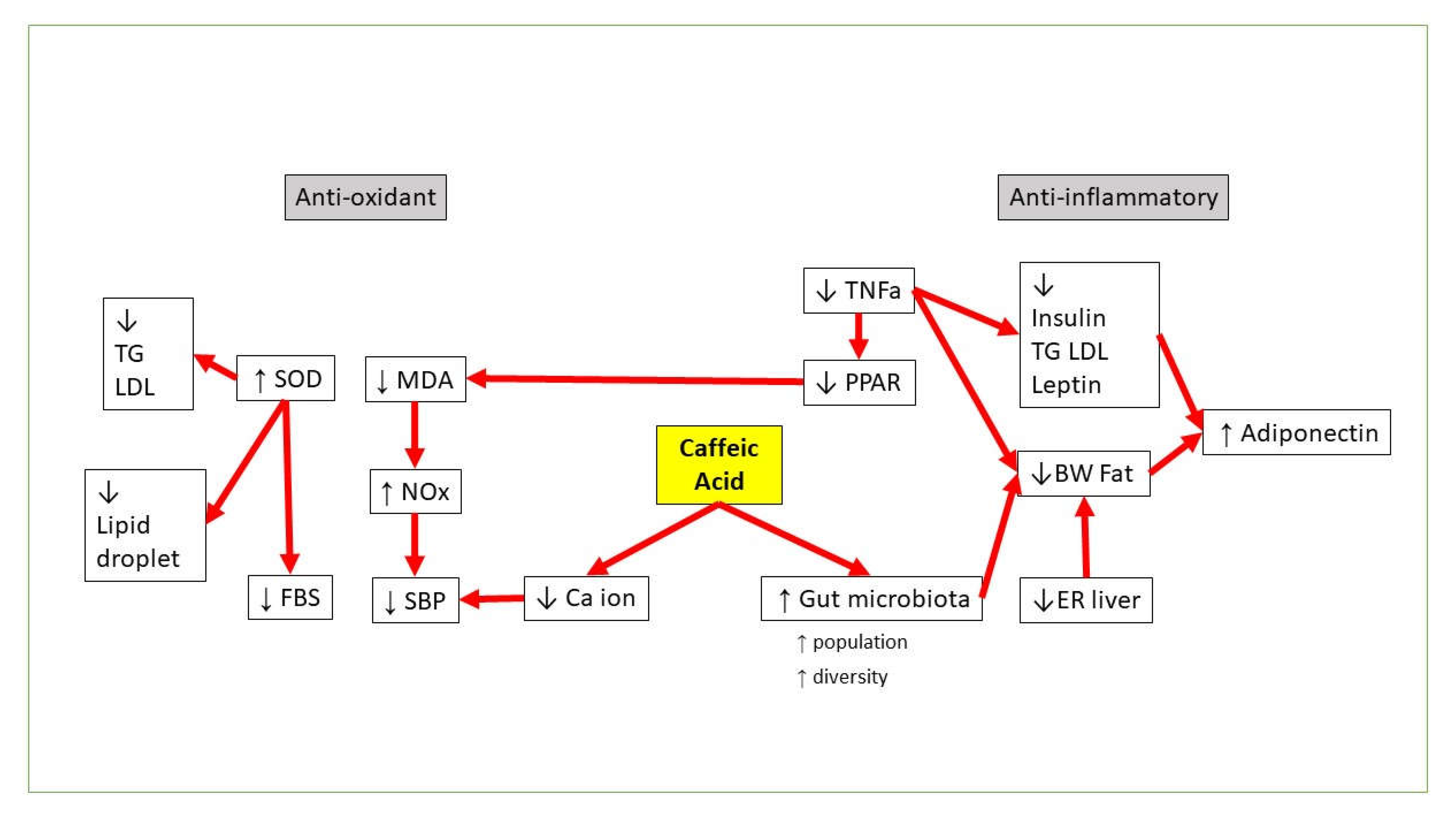 Molecules 26 05490 g002