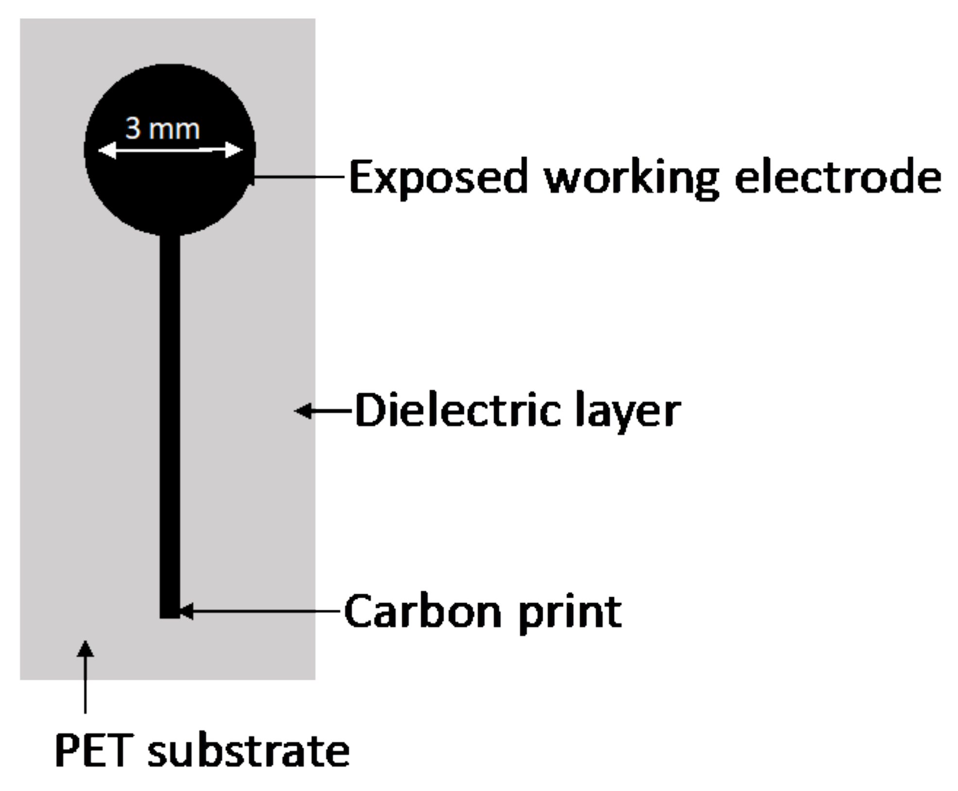 Molecules 26 05502 g004 Molecules 26 05502 g004