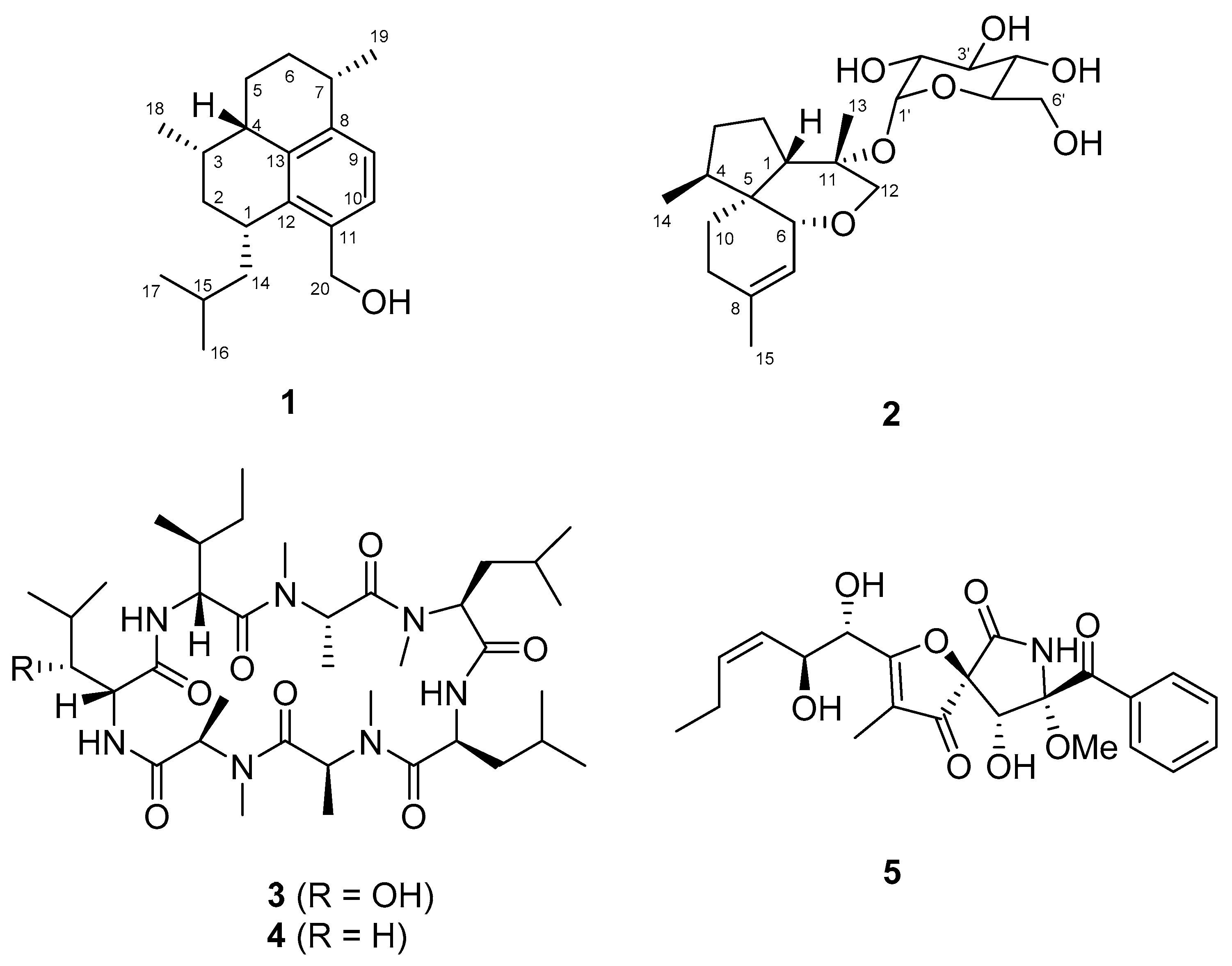 Molecules 26 05505 g001