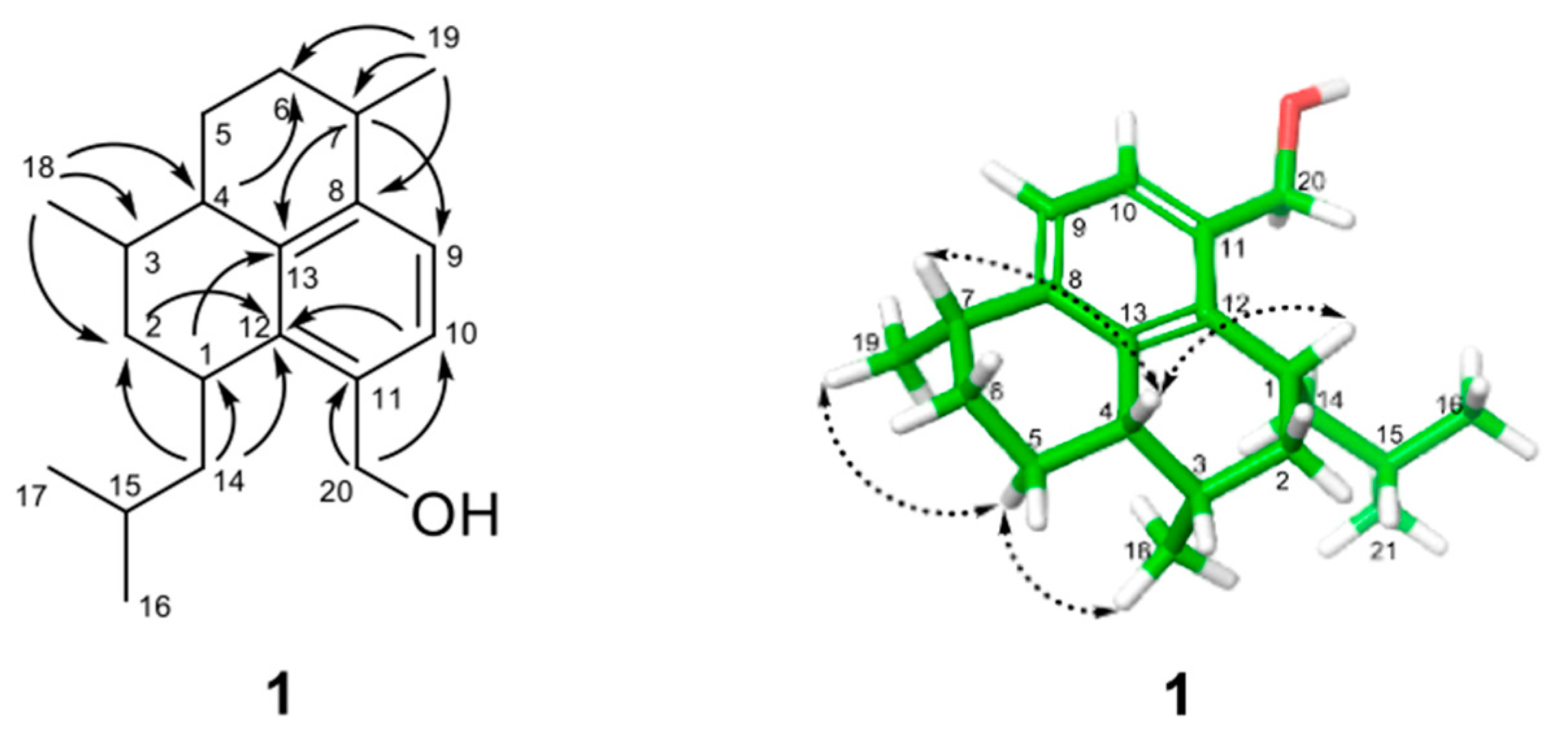 Molecules 26 05505 g002