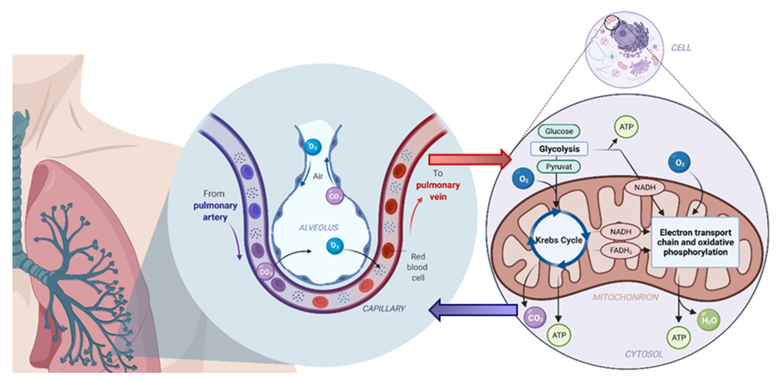 Molecules 26 05514 g001