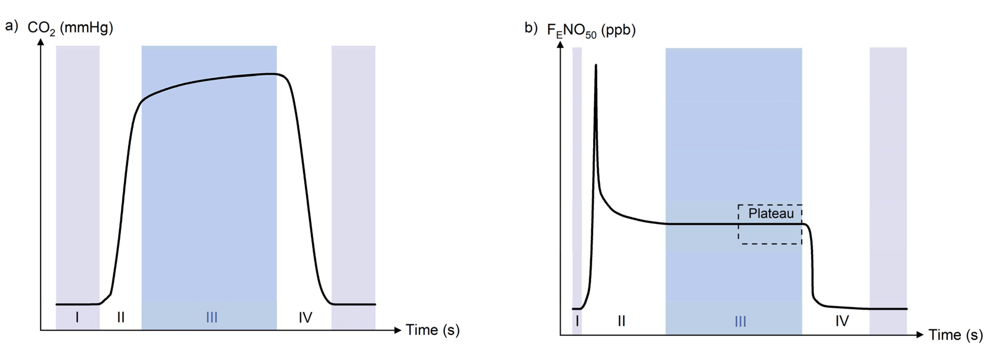 Molecules 26 05514 g002