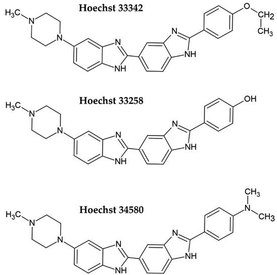 Molecules Free FullText DNA Dyes—Highly Sensitive Reporters of