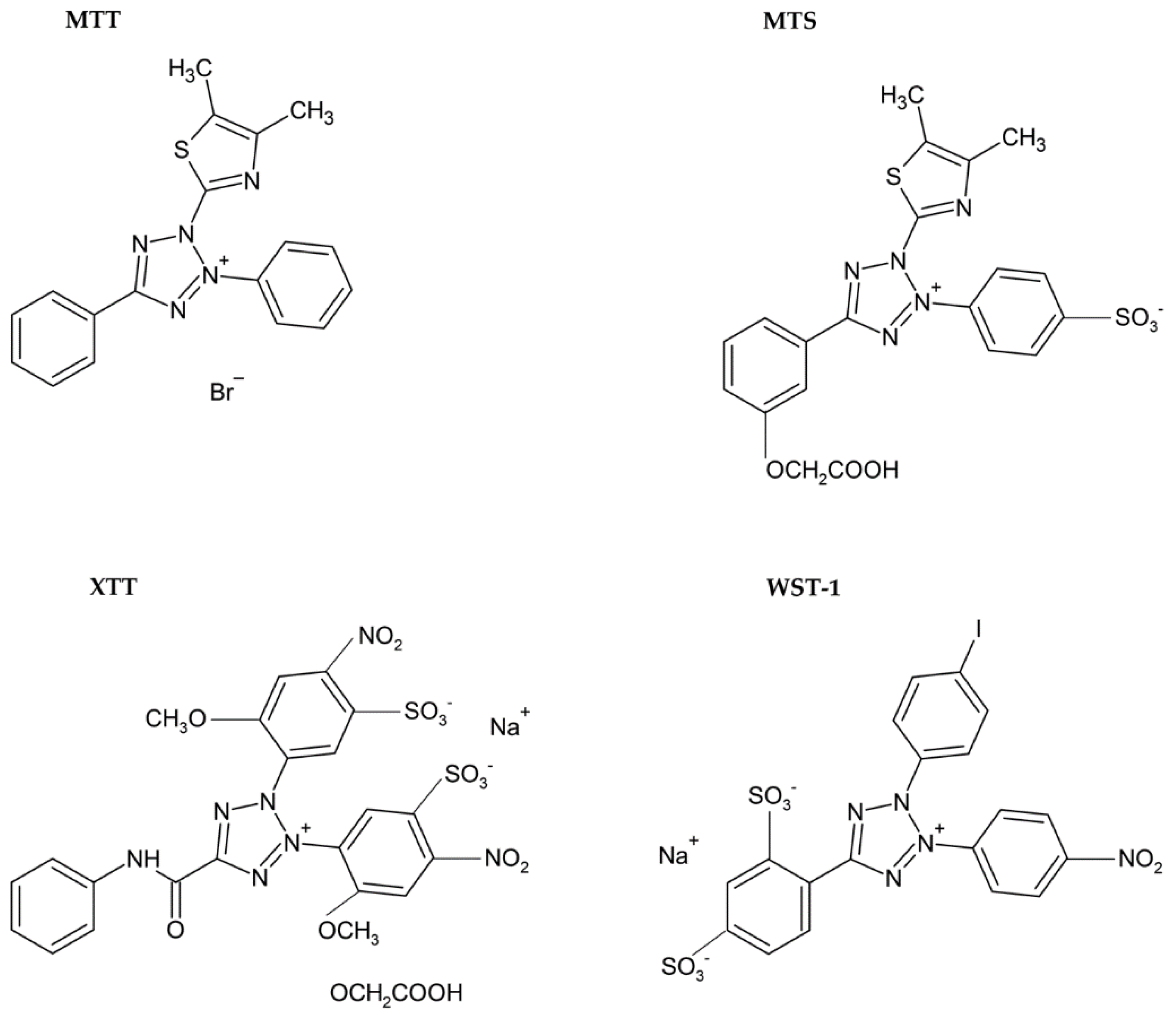 Molecules 26 05515 g004 550