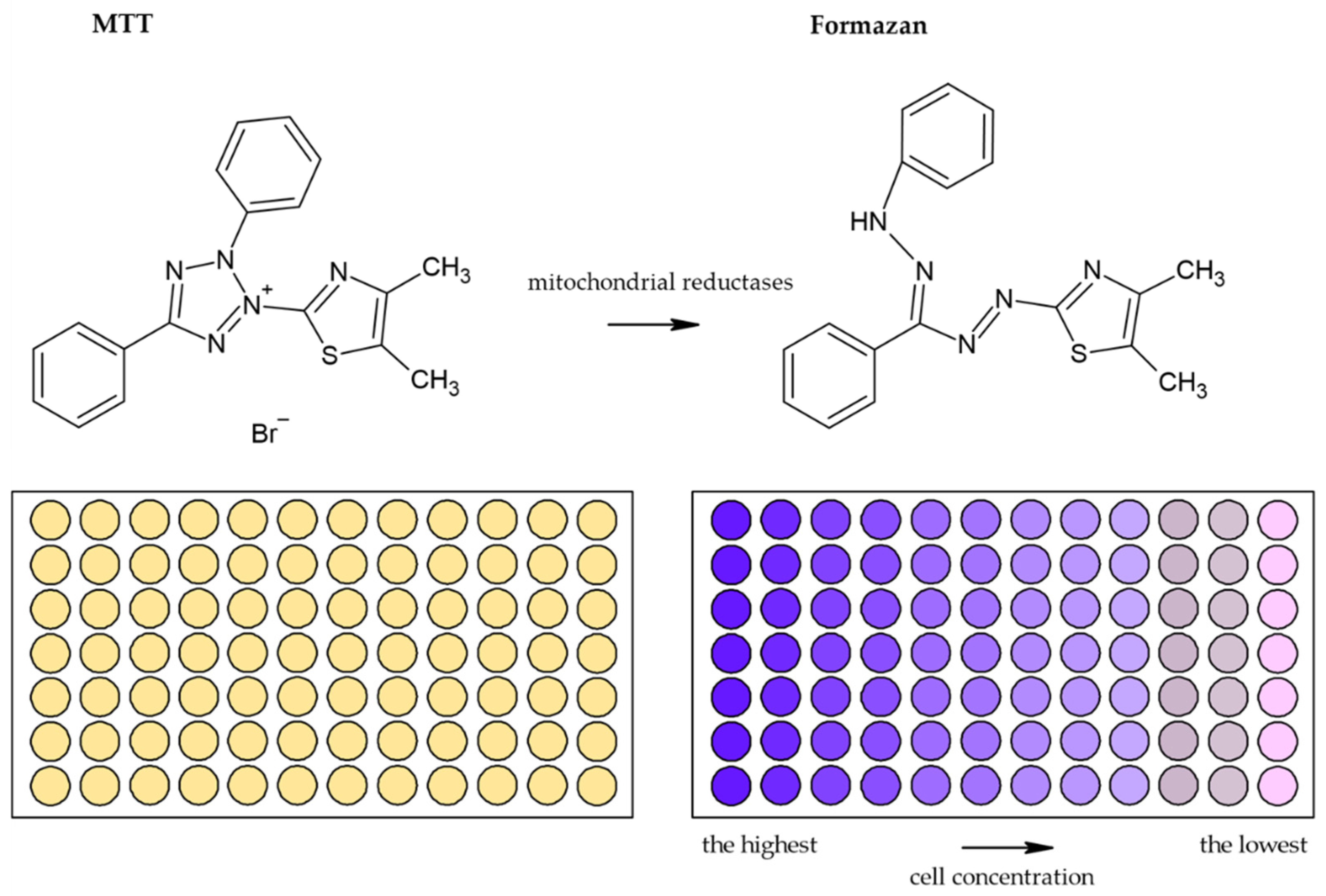 Molecules 26 05515 g005 550