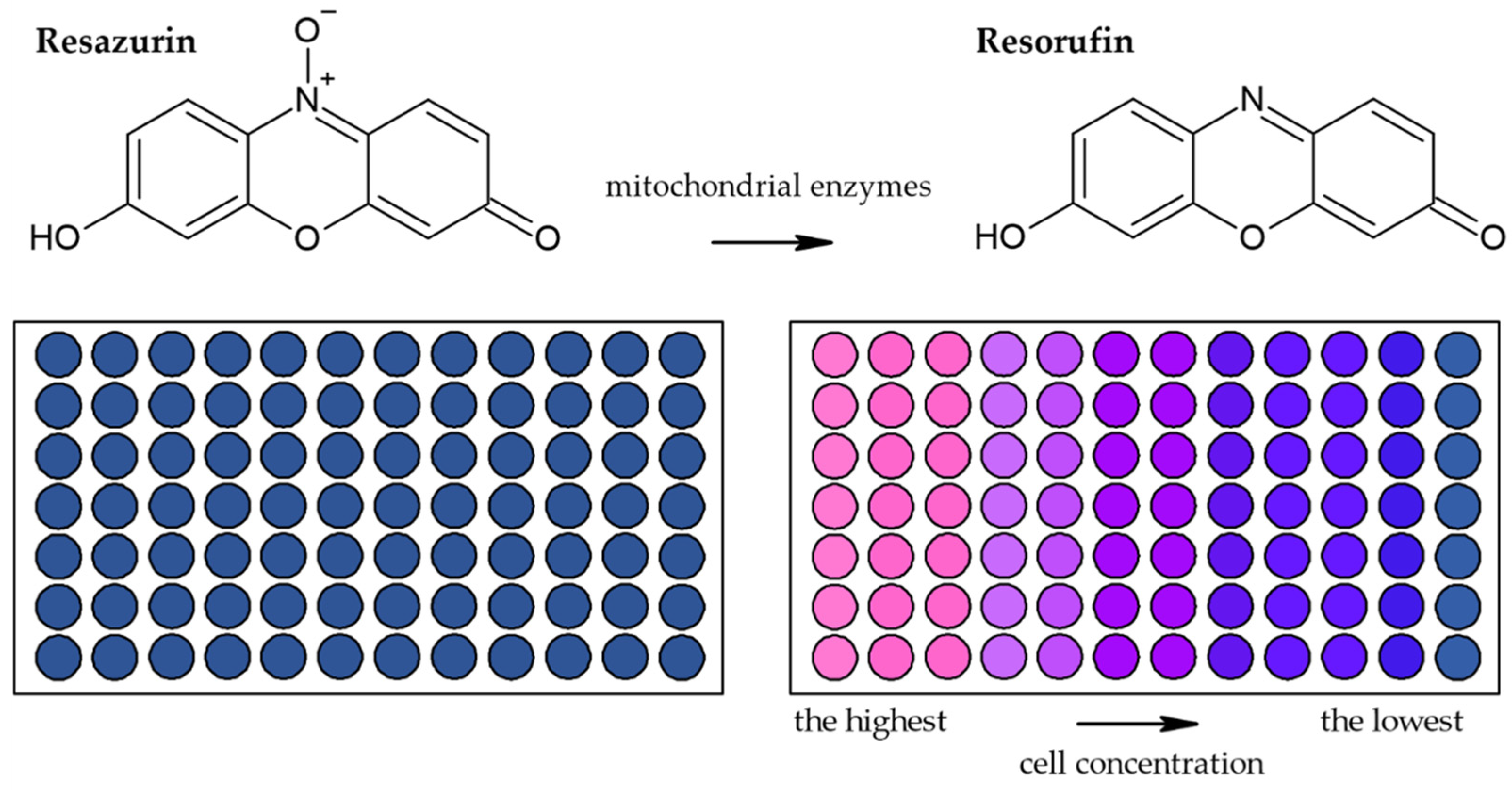 Molecules 26 05515 g006 550
