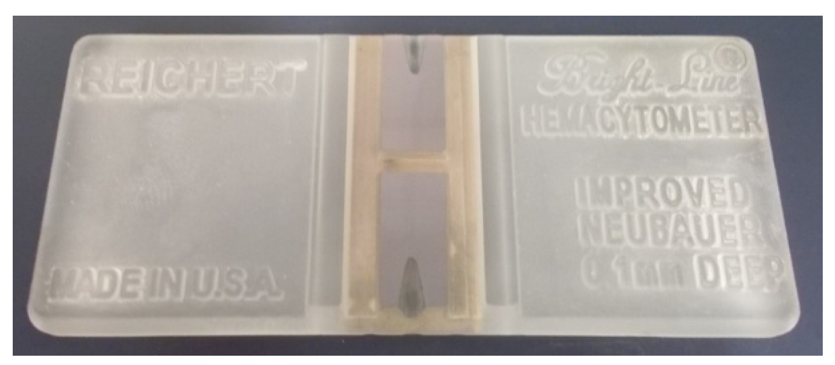 Molecules 26 05515 g007 550