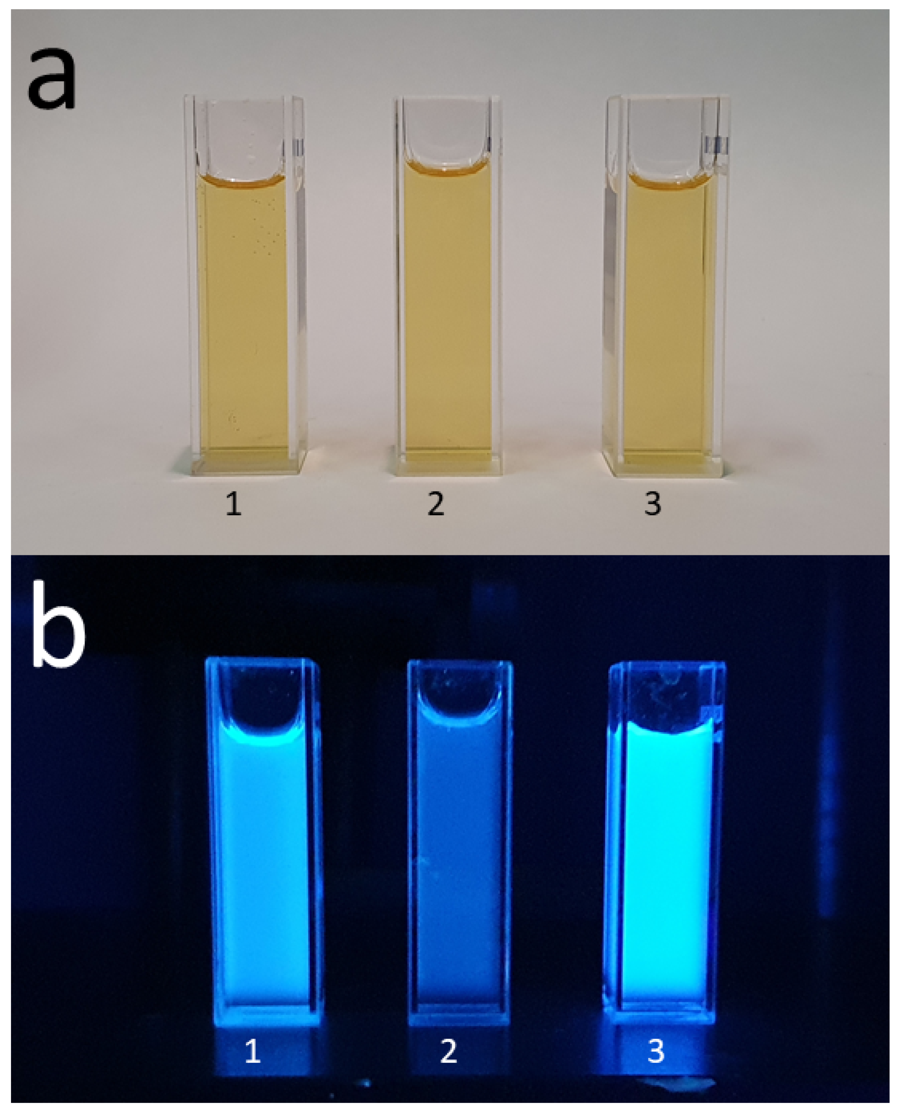 Molecules 26 05519 g001 550