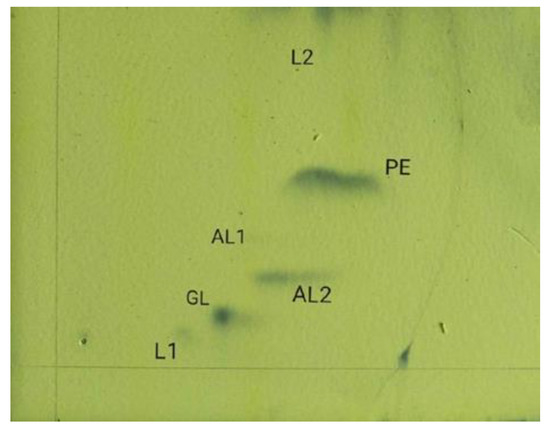 Screening and Characterization of Two Extracellular