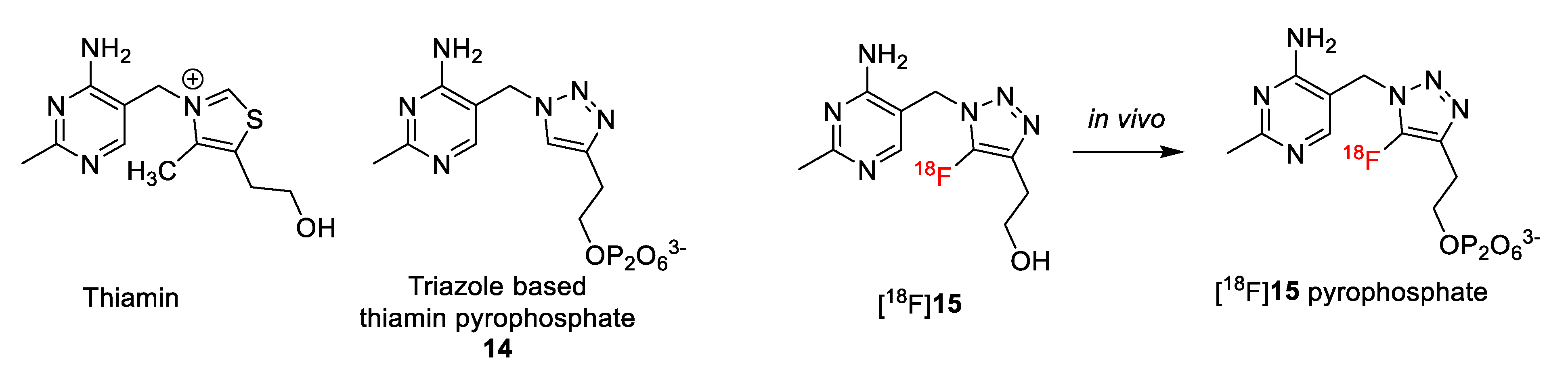 Molecules 26 05522 g003