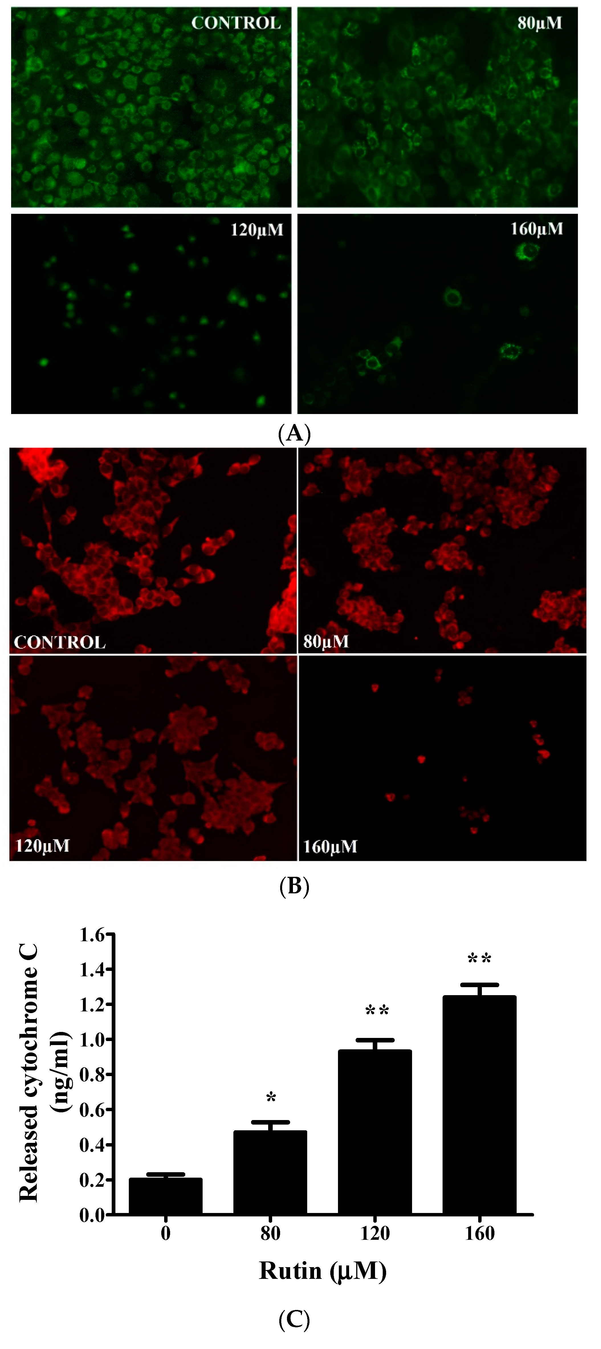 Molecules 26 05529 g004 550
