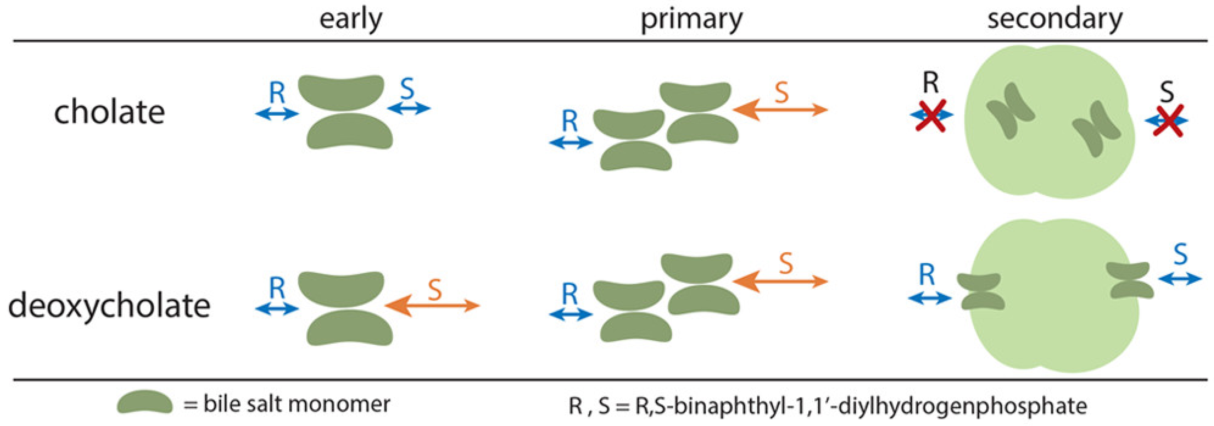Molecules 26 05531 g002