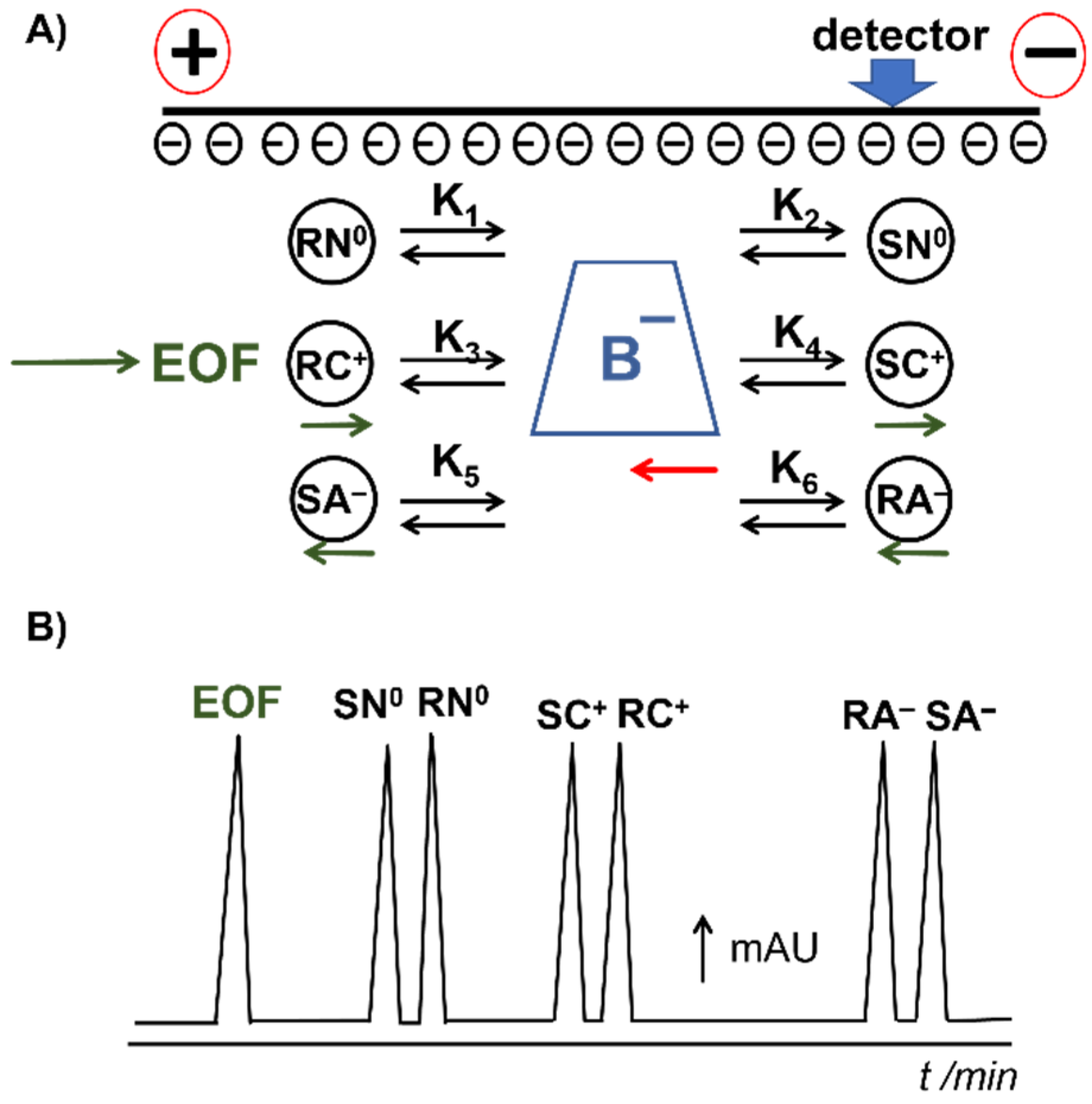 Molecules 26 05531 g003