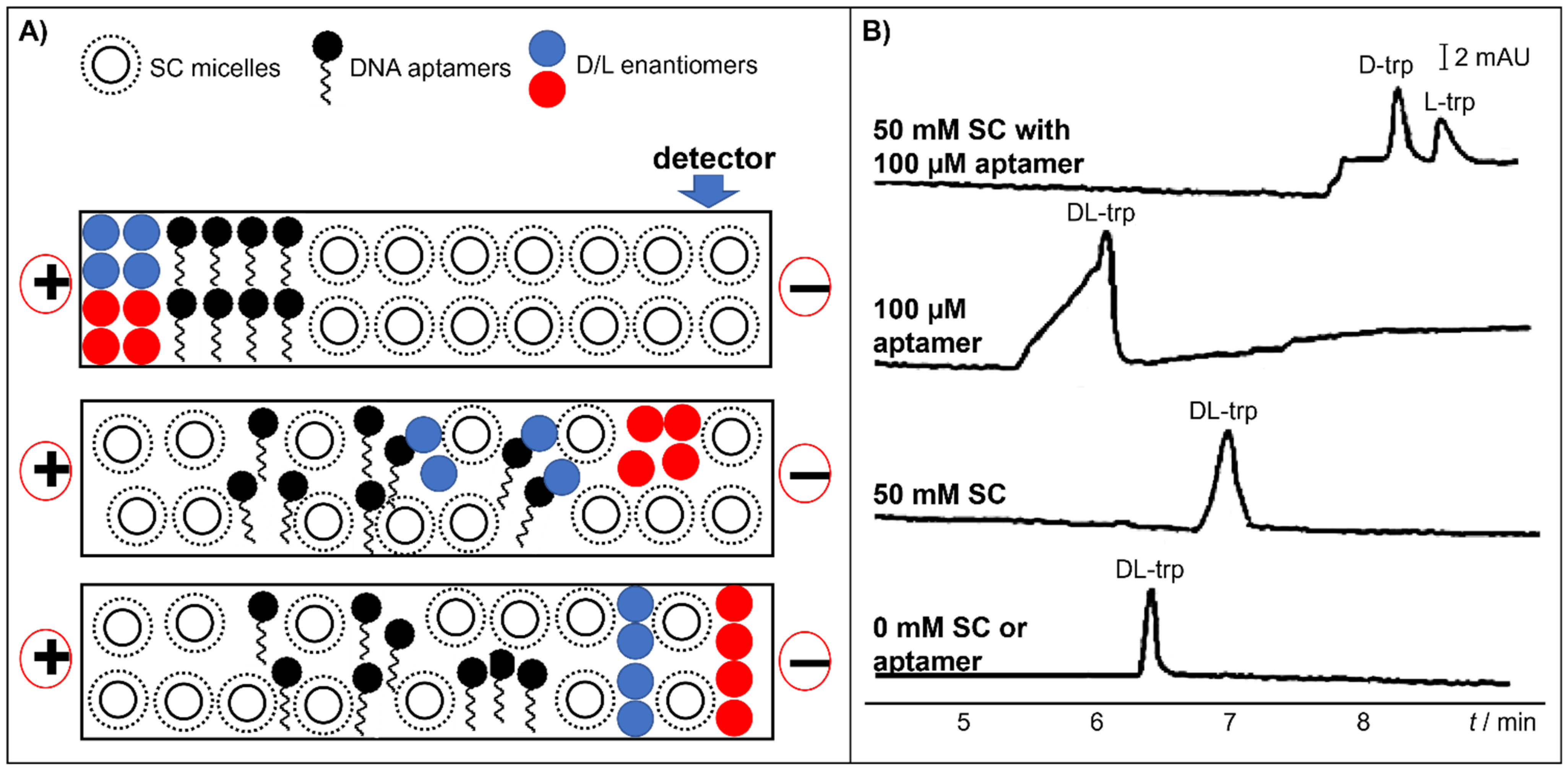 Molecules 26 05531 g007