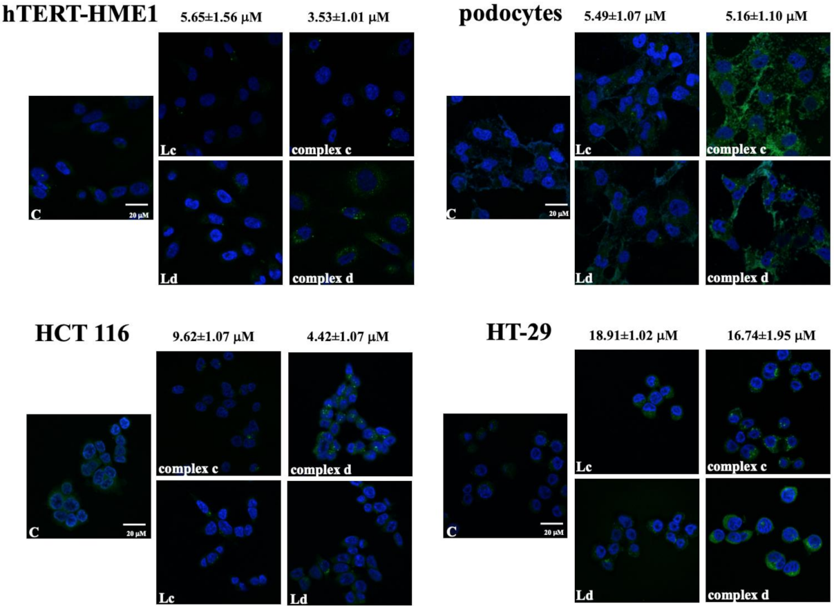 Molecules 26 05534 g002 Molecules 26 05534 g002