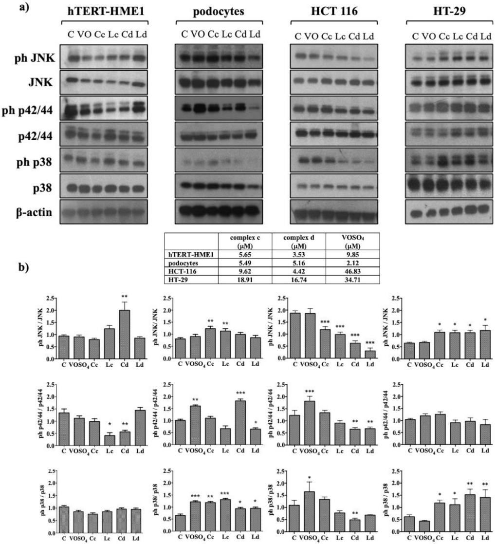 Molecules 26 05534 g005 Molecules 26 05534 g005
