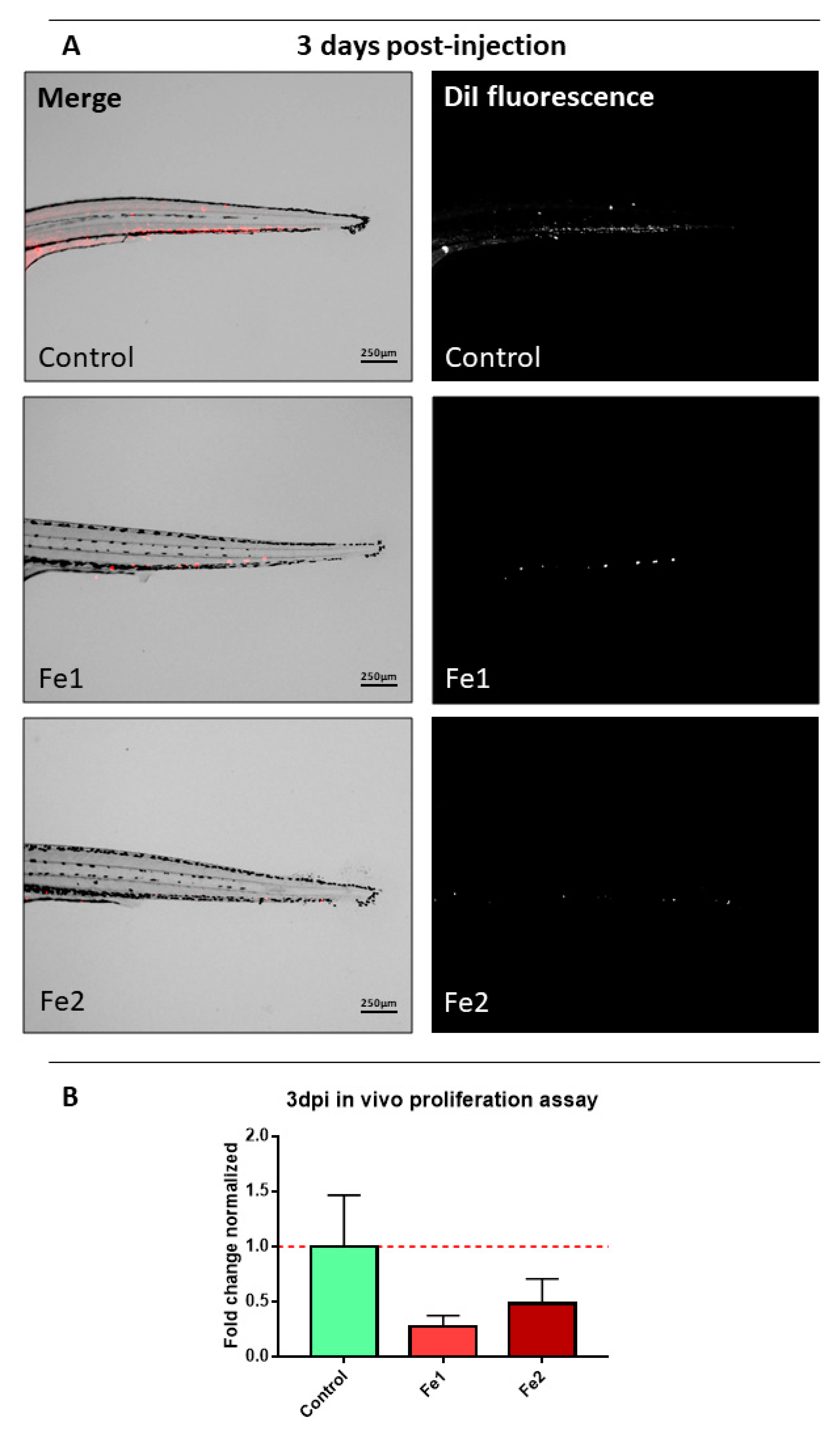 Molecules 26 05535 g008 550