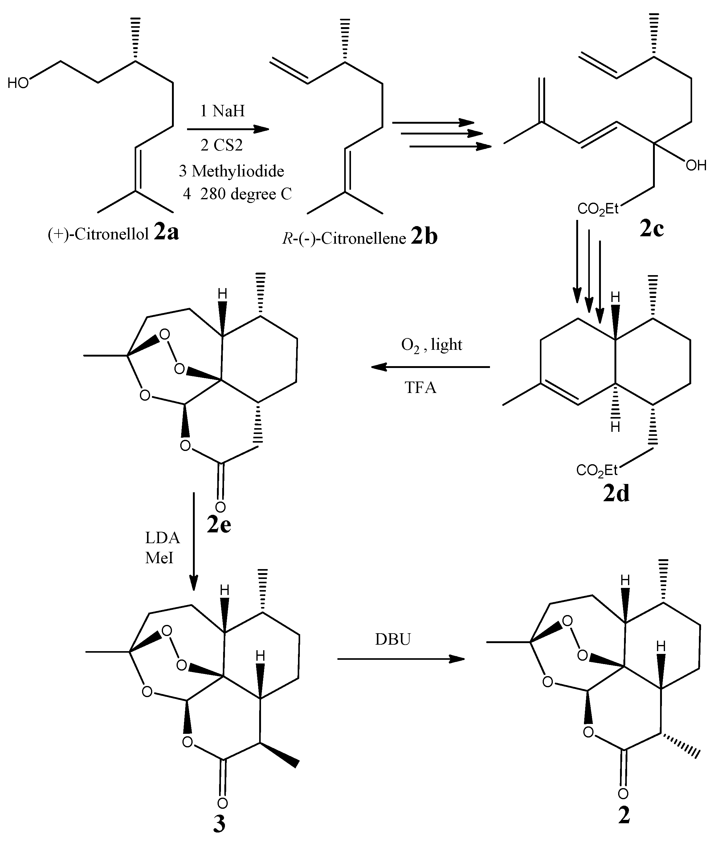 Molecules 26 05540 g004